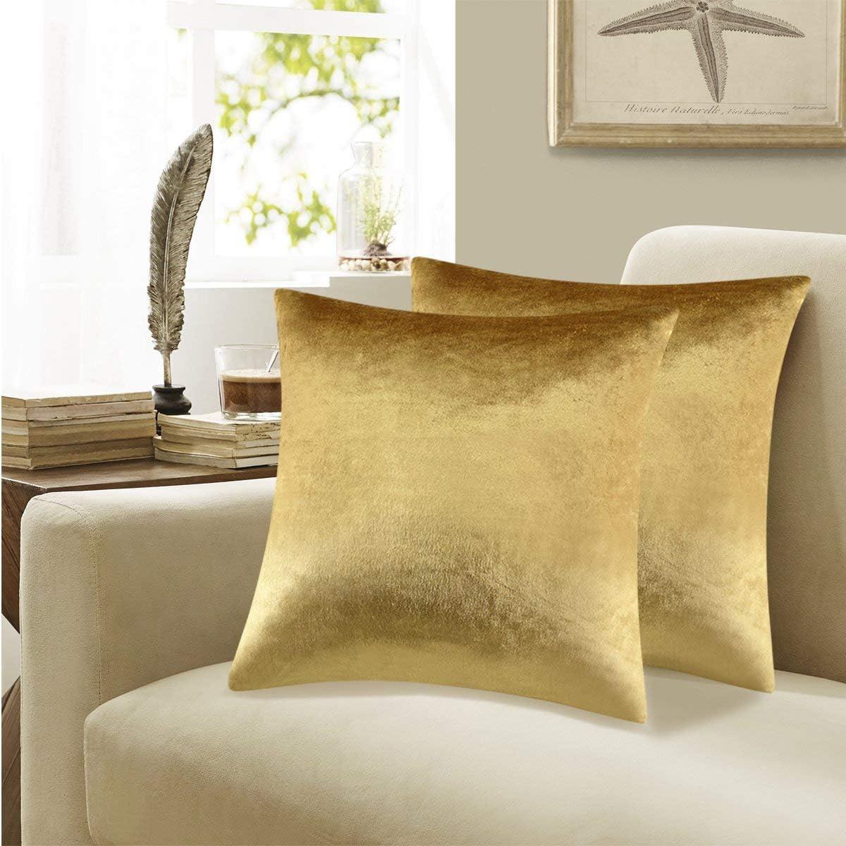 Gold Velvet Decorative Throw Pillow Covers,18x18 Pillow Covers for Couch Sofa Bed 2 Pack Soft Cushion Covers