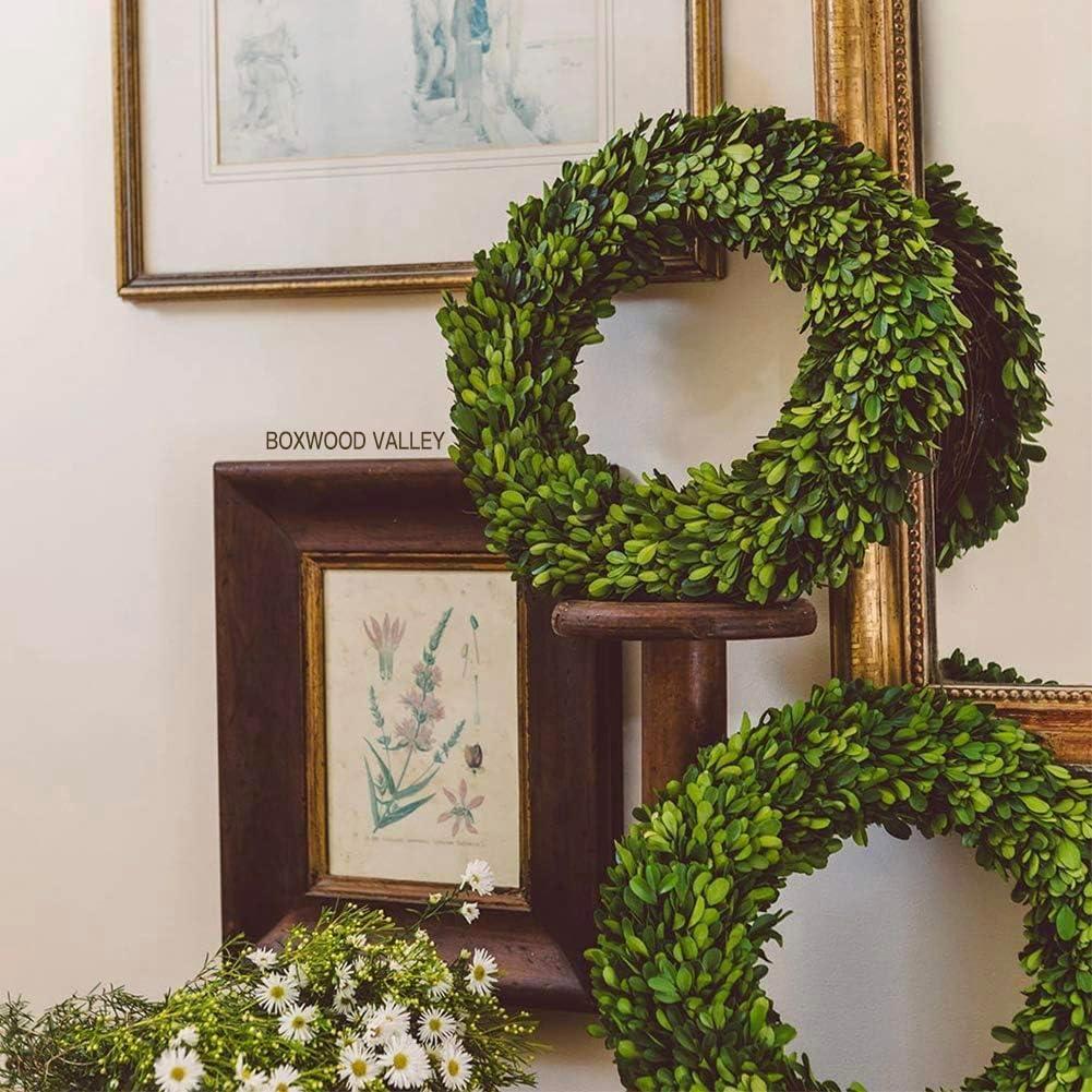 Alby Preserved Boxwood Real Greenery Wreath