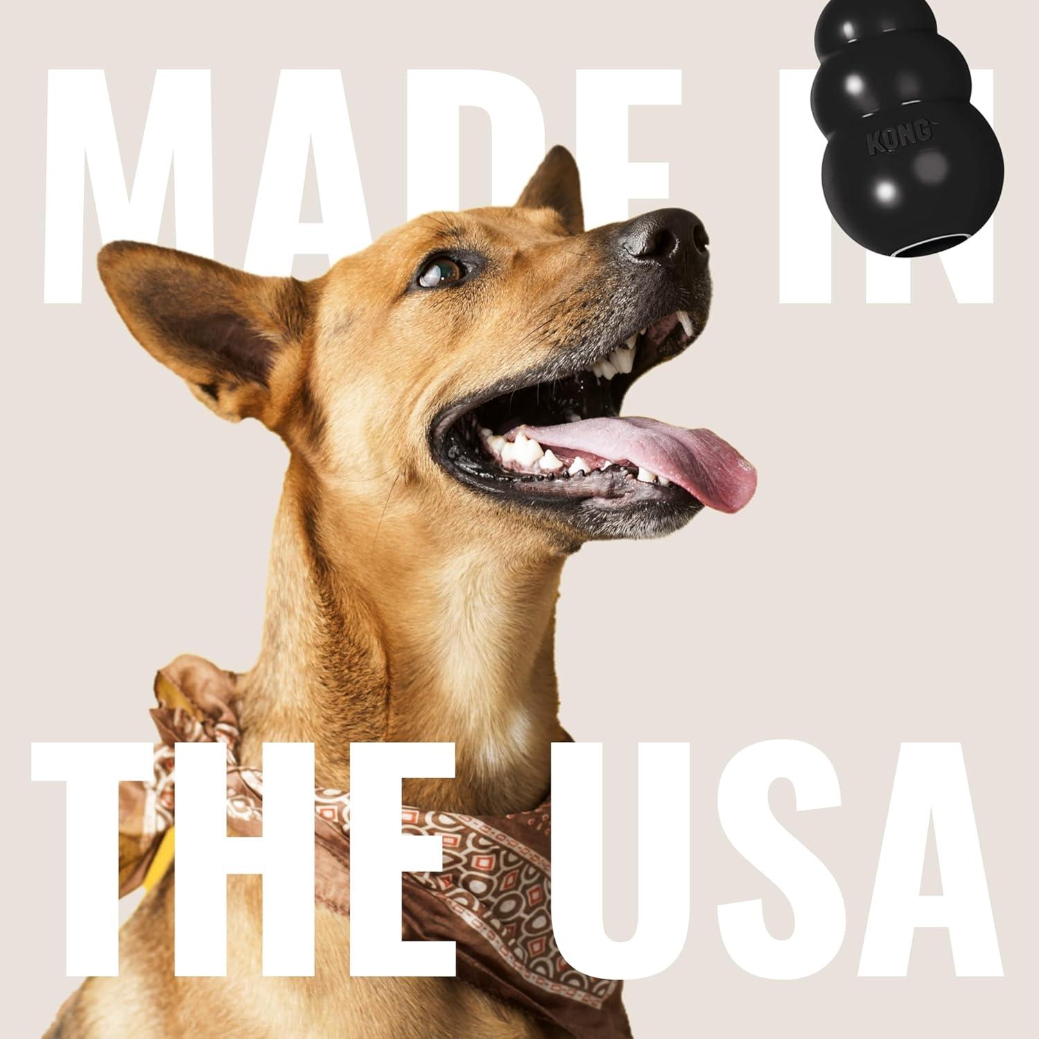KONG Extreme Dog Toy, Black, Large