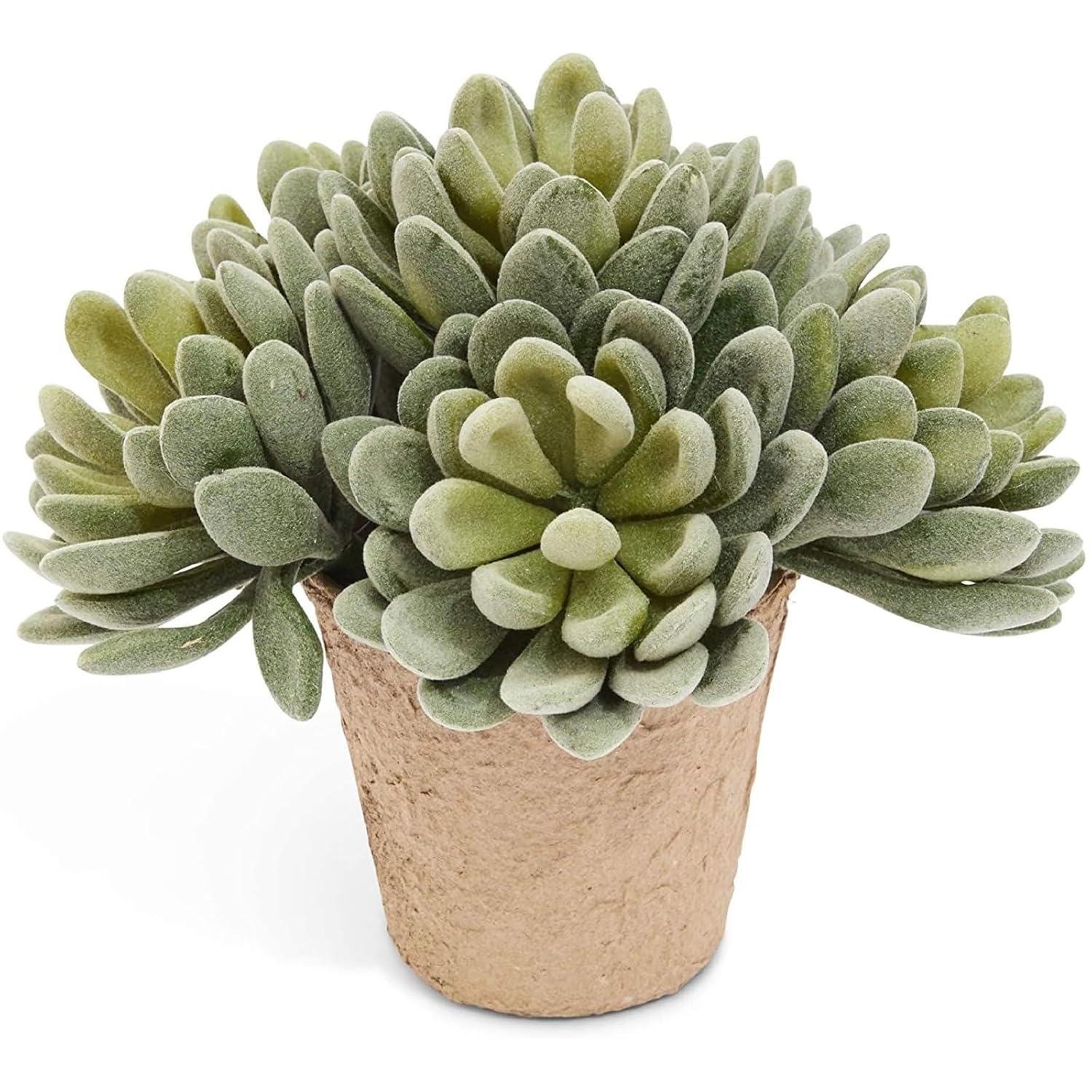 6 Pack Artificial Succulents Picks, 5 inch Faux Unpotted Echeveria Fake Succulent Plants, Green