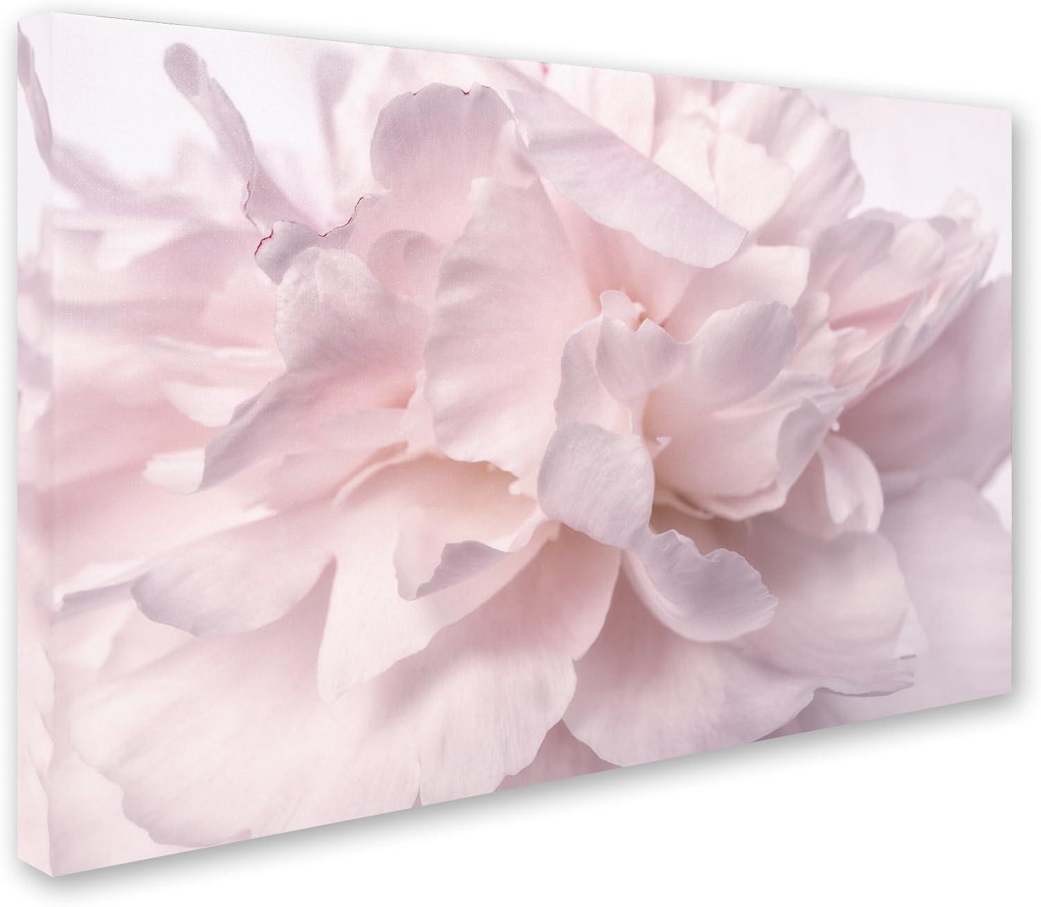 House of Hampton® " Pink Peony Petals II " by Cora Niele