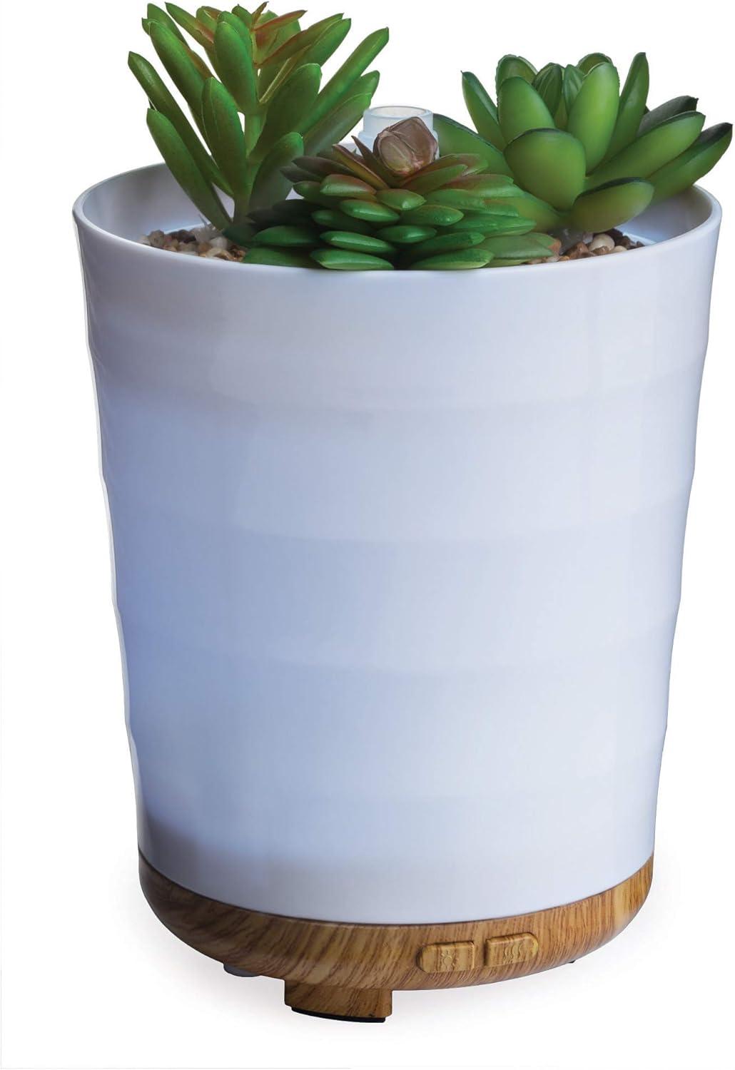 White Ceramic Succulent Essential Oil Diffuser with Bamboo Base