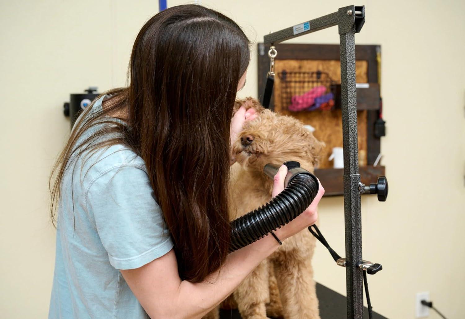 Black Steel Air Force Master Blaster Pet Dryer with Hose