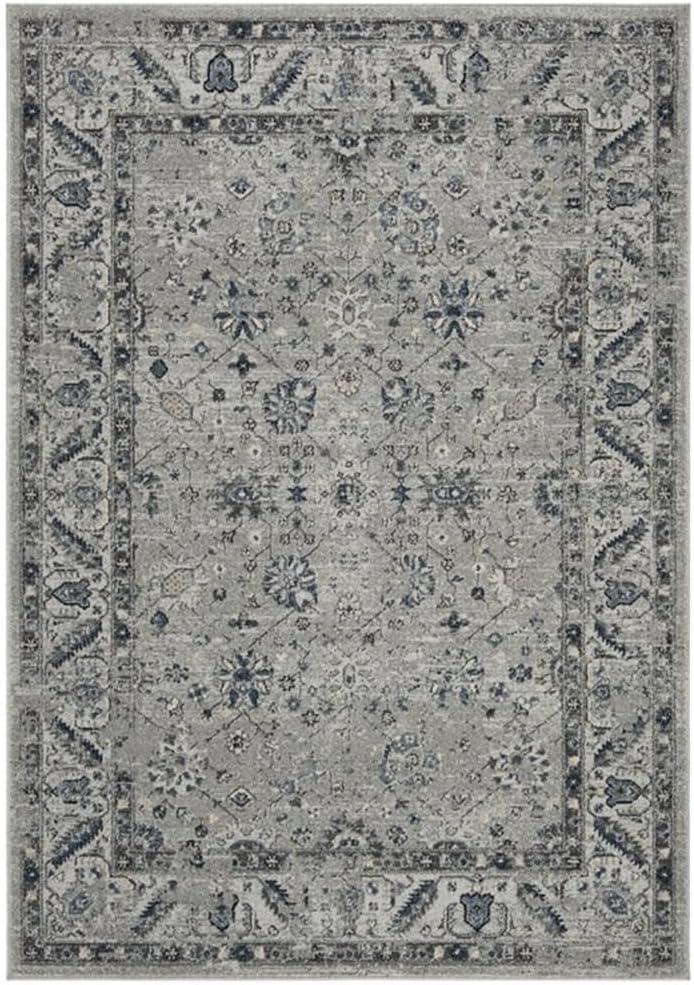 Charleston CHL413 Power Loomed Area Rug  - Safavieh