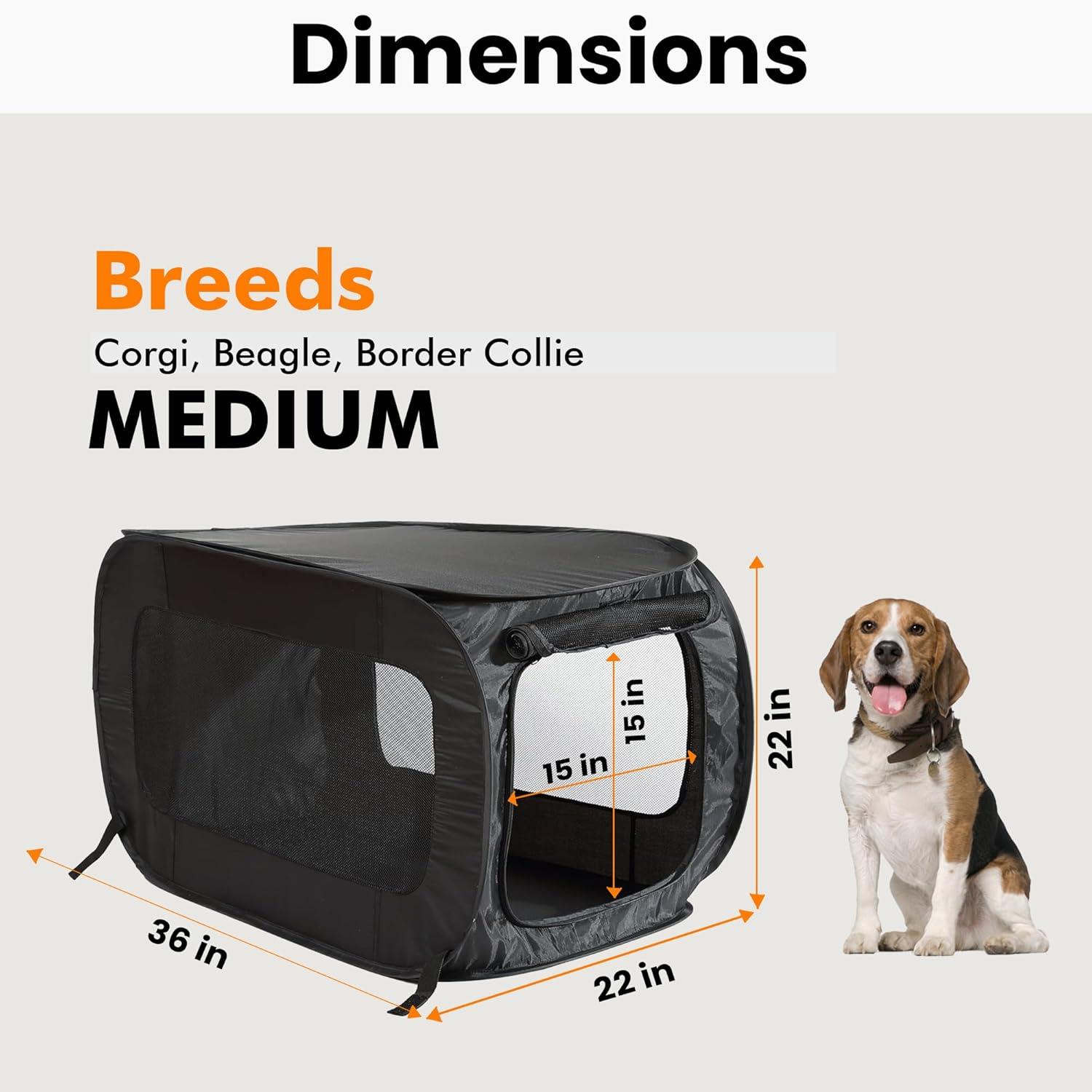 Beatrice Home Fashions Collapsible Pet Carrier with 1 Door