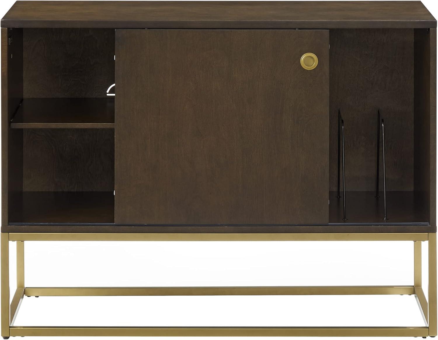 Byron Dark Brown and Gold Media Console with Vinyl Storage