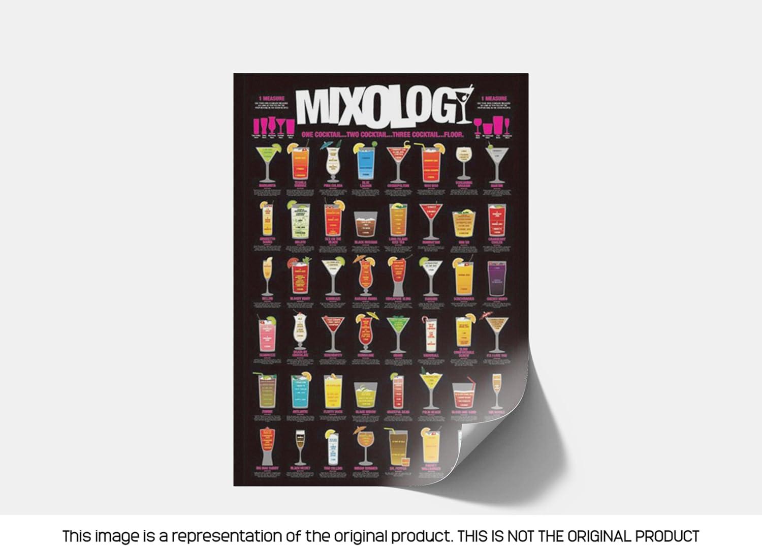 Mixology Laminated Poster (24 x 36)