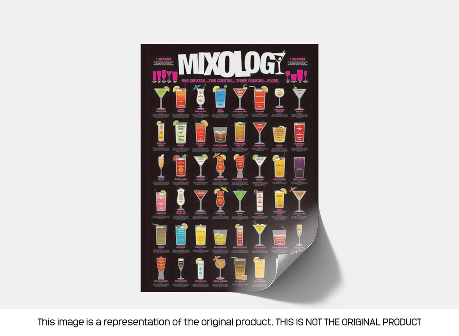 Mixology Laminated Poster (24 x 36)