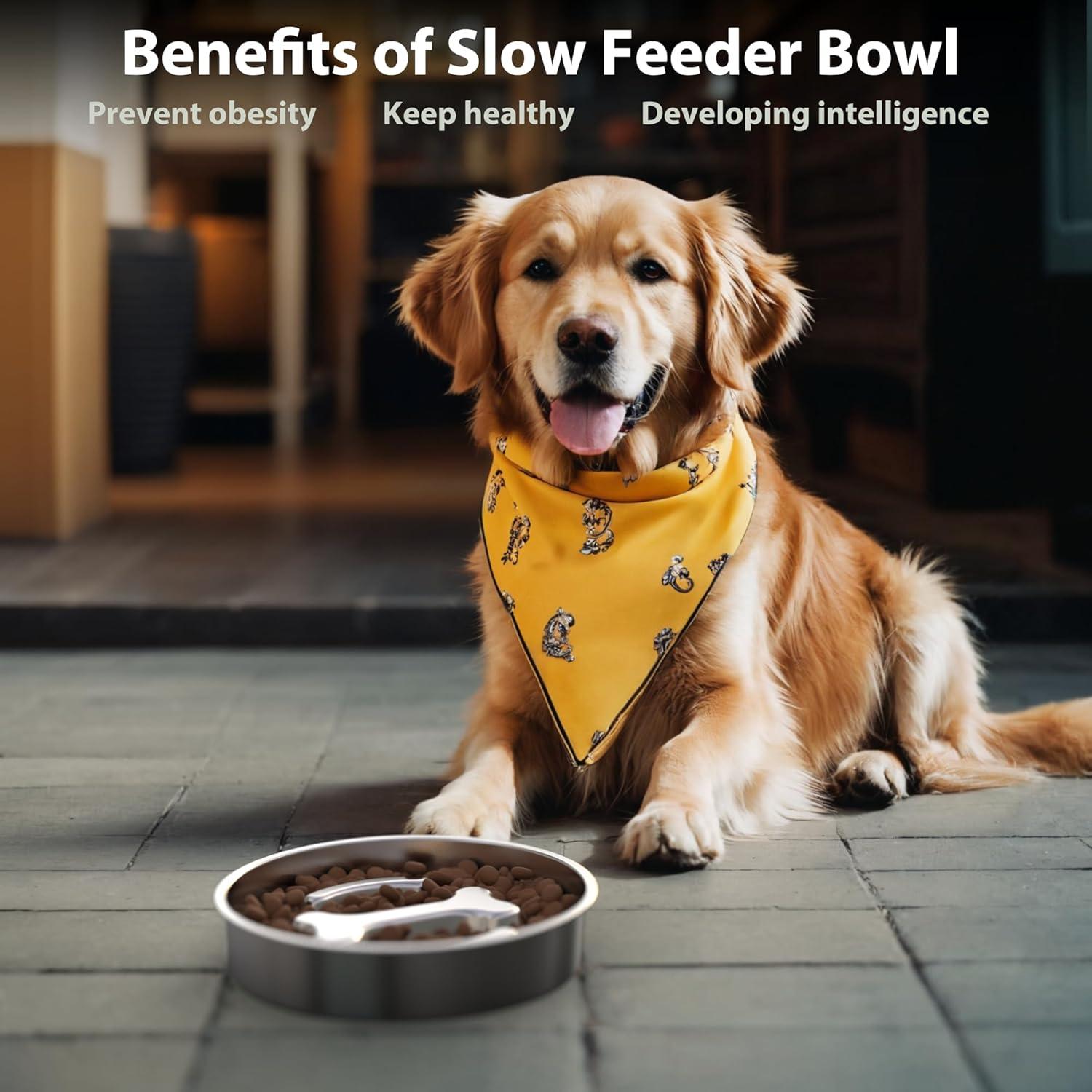 Stainless Steel Non-Slip Slow Feeder Dog Bowls Set