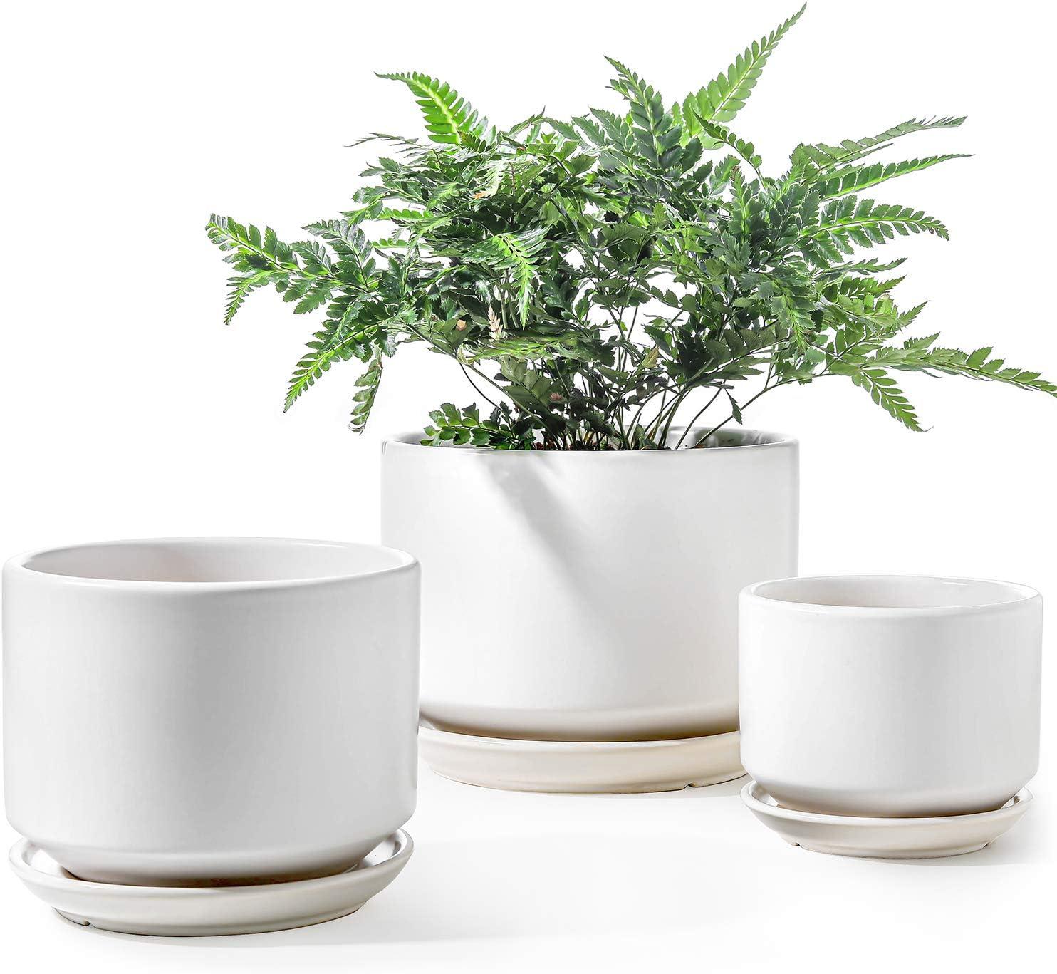 Cream White Ceramic Indoor/Outdoor Planter Set with Drainage