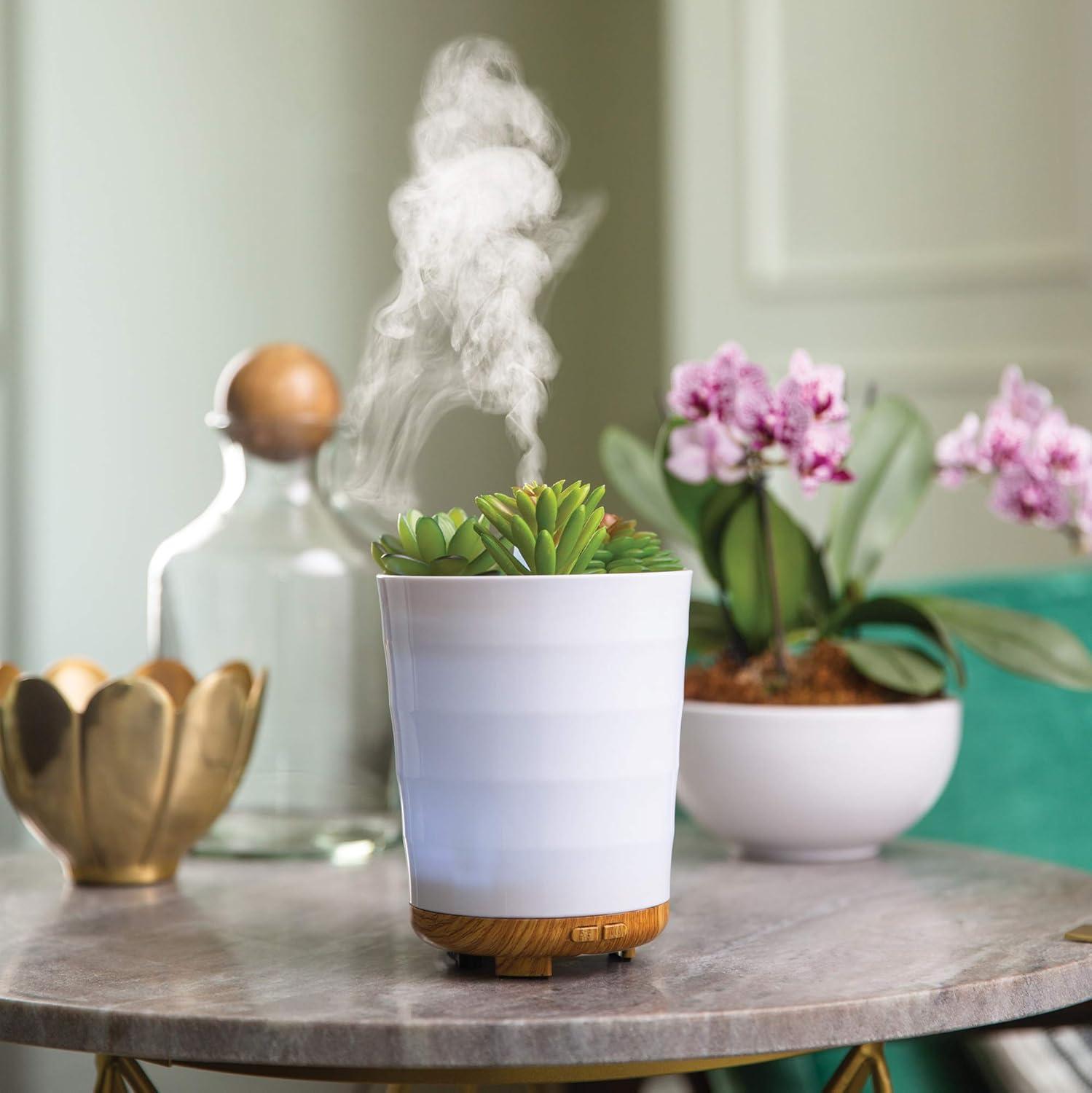 White Ceramic Succulent Essential Oil Diffuser with Bamboo Base