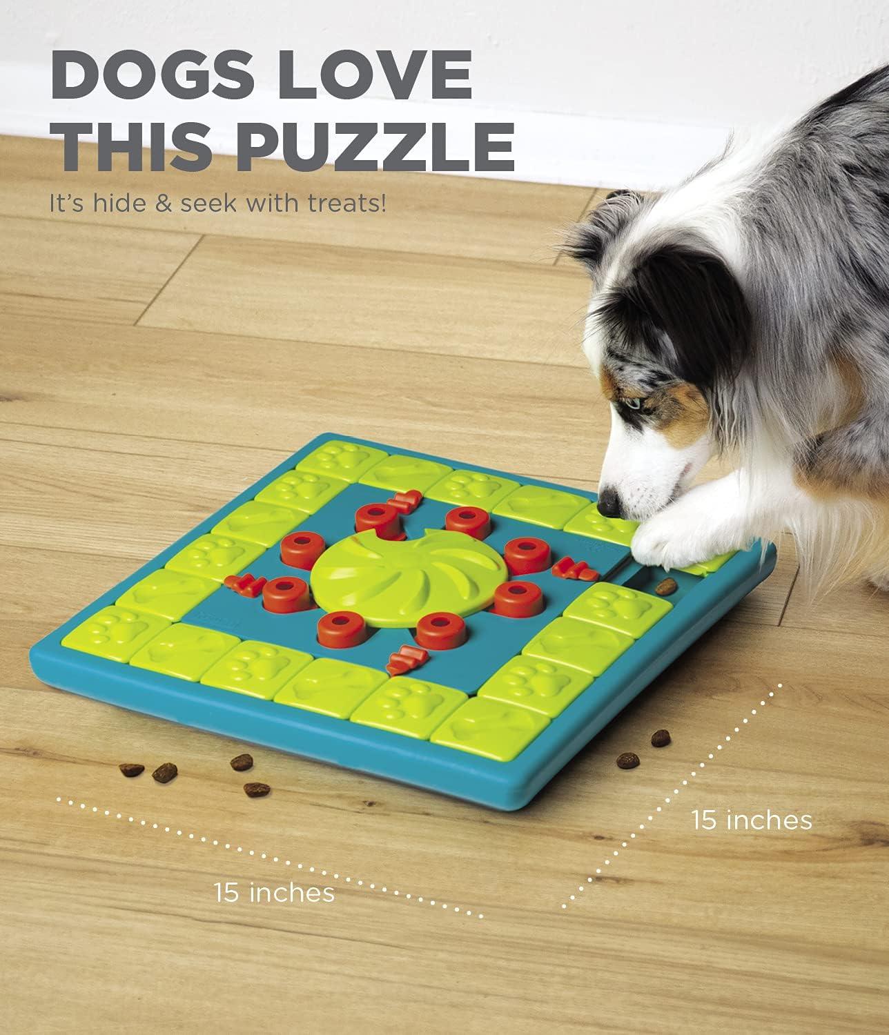 Nina Ottosson by Outward Hound Dog Brick Interactive Treat Puzzle Dog Toy, Blue, One-Size