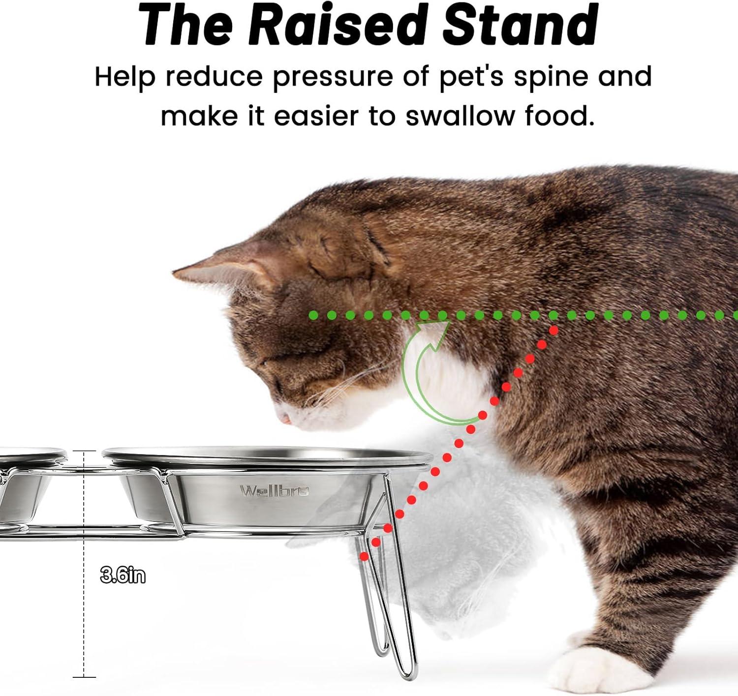 Elevated Cat Bowls, 5.9 Inch Wide Stainless Steel Cat Food Bowls with Metal Stand Whisker Stress-Free, Raised Food and Water Dish for Cats, Kitten, Puppies and Small Dogs-2 Pack