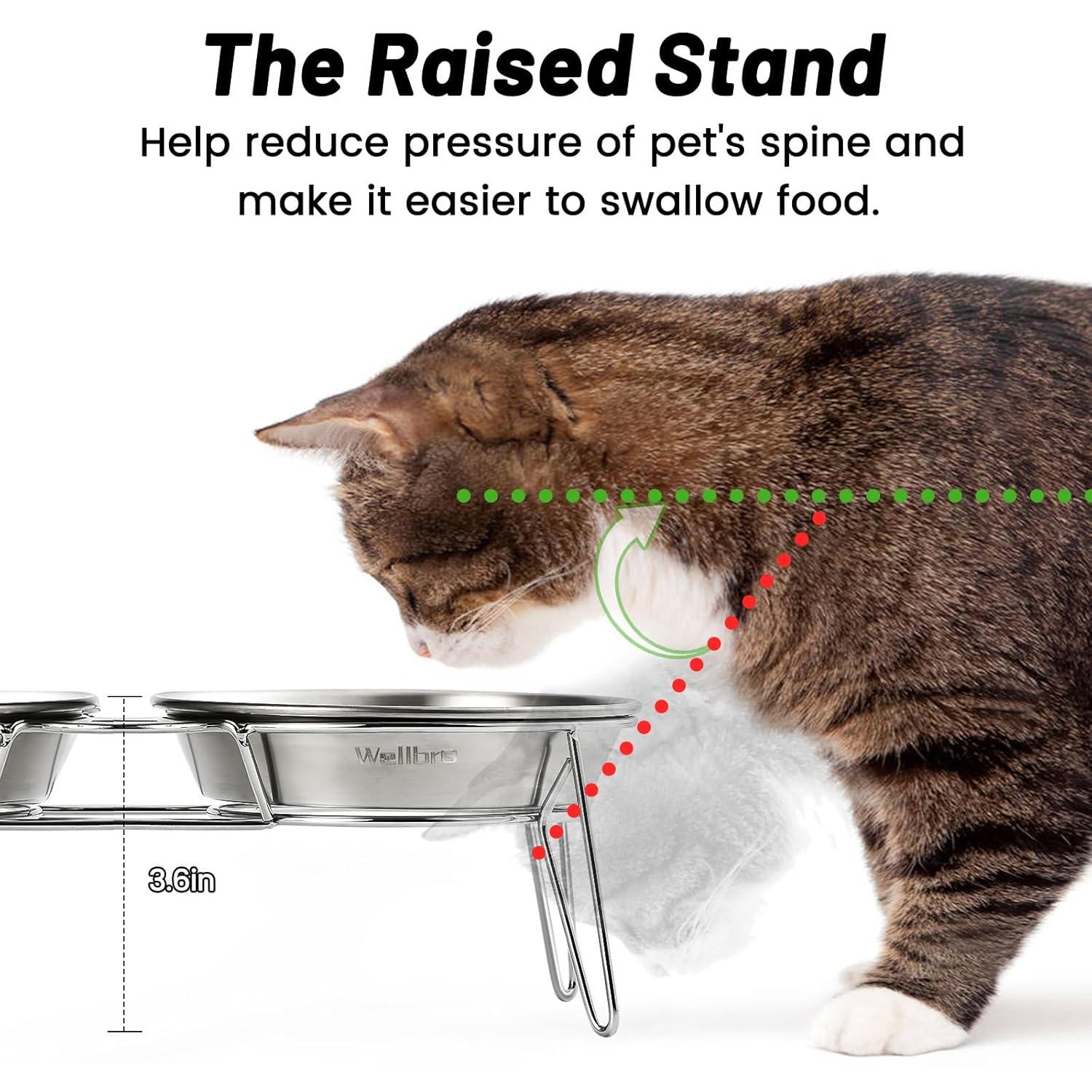 Elevated Cat Bowls, 5.9 Inch Wide Stainless Steel Cat Food Bowls with Metal Stand Whisker Stress-Free, Raised Food and Water Dish for Cats, Kitten, Puppies and Small Dogs-2 Pack