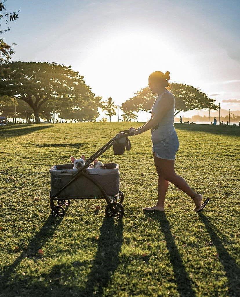 Baby Trend Baby Trend Foldable 4 Wheel Multi-Child Stroller with Storage