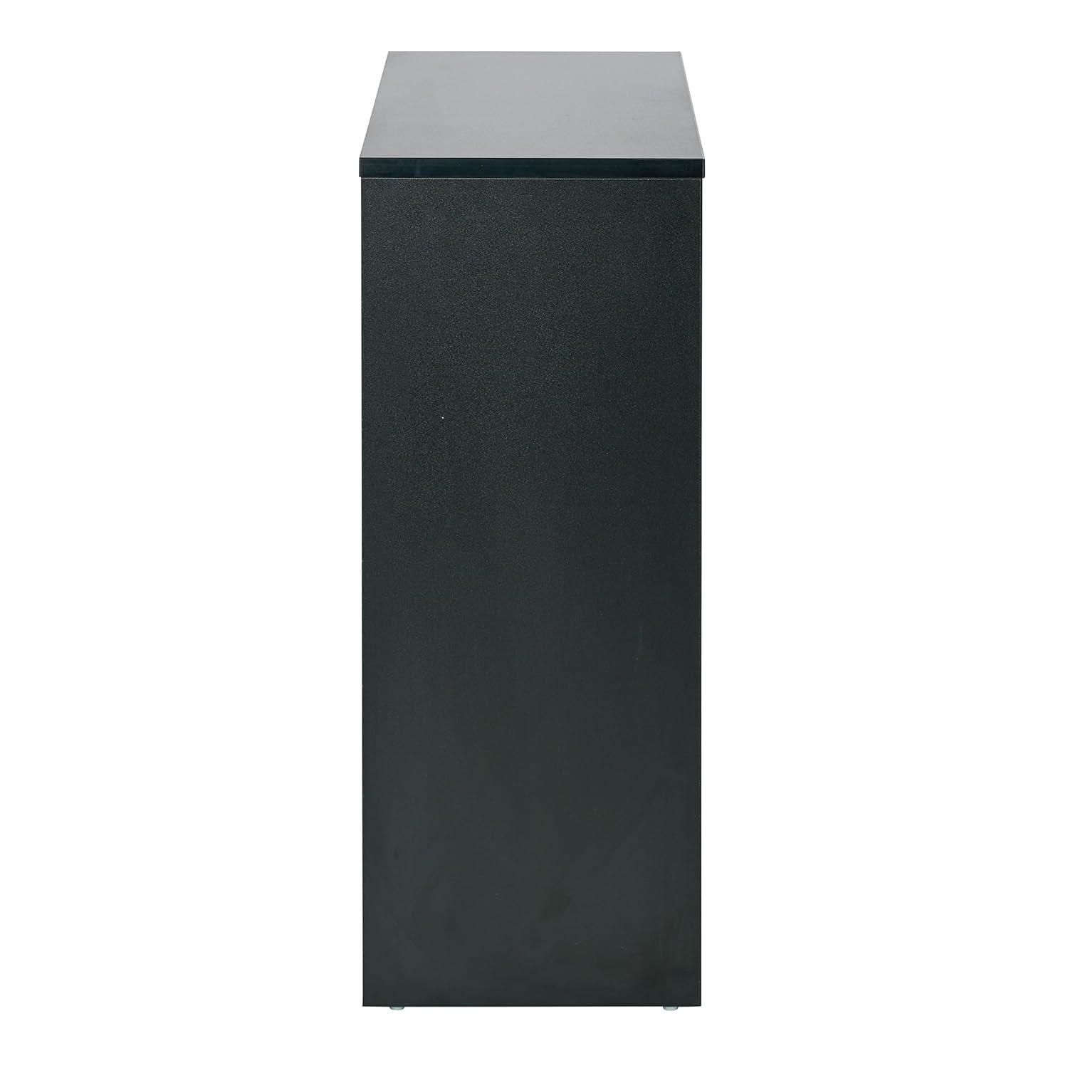 Prado 30 inch 2 Shelf Multipurpose Black Bookcase Engineered Wood