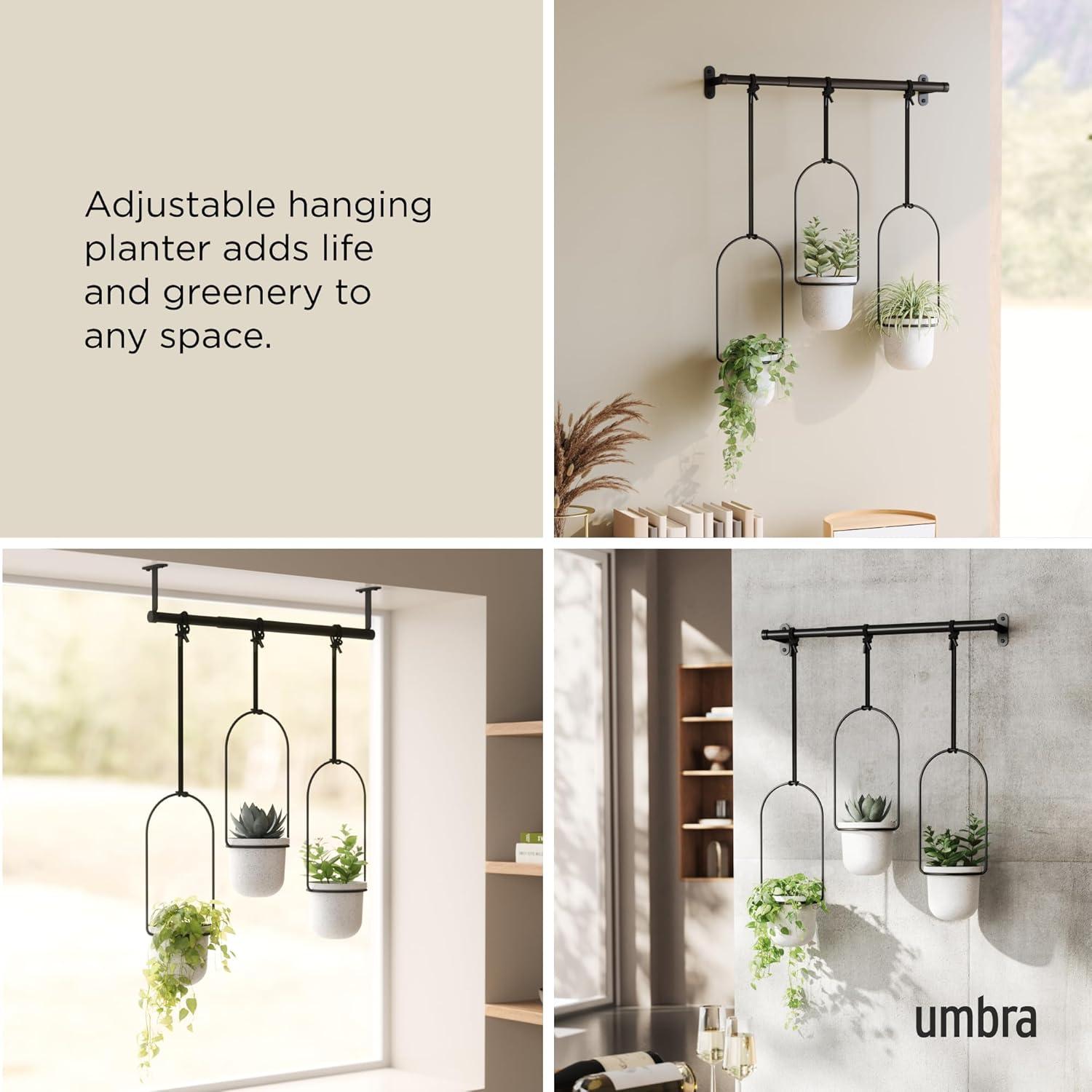 Tri-Flora Hanging Planter