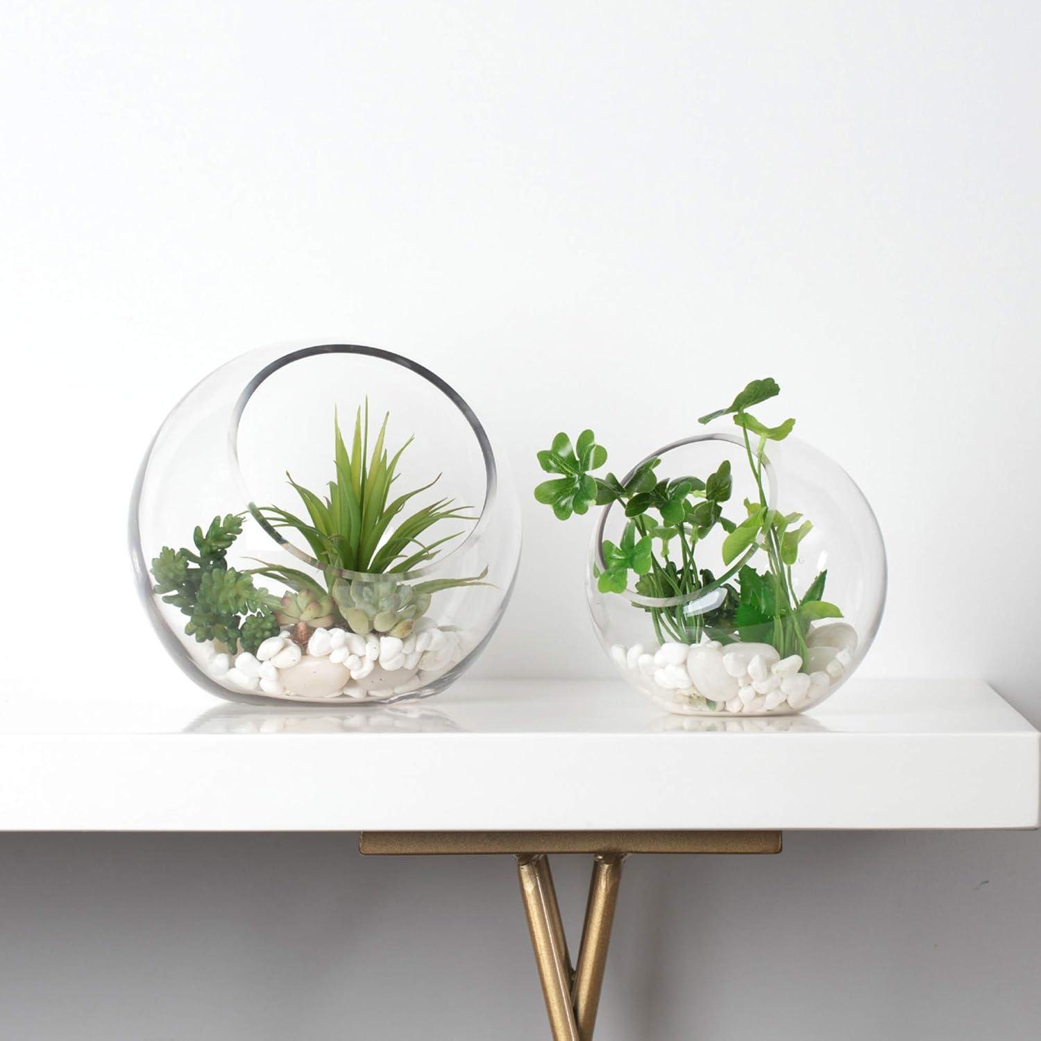 WGV Slant Cut Bowl Glass Vase, Width 9", Height 9", Clear Round Globe Planter Terrarium Orb, Candy Dish, Fruit Jar, Floral Container for Home Office Decor, 1 Piece