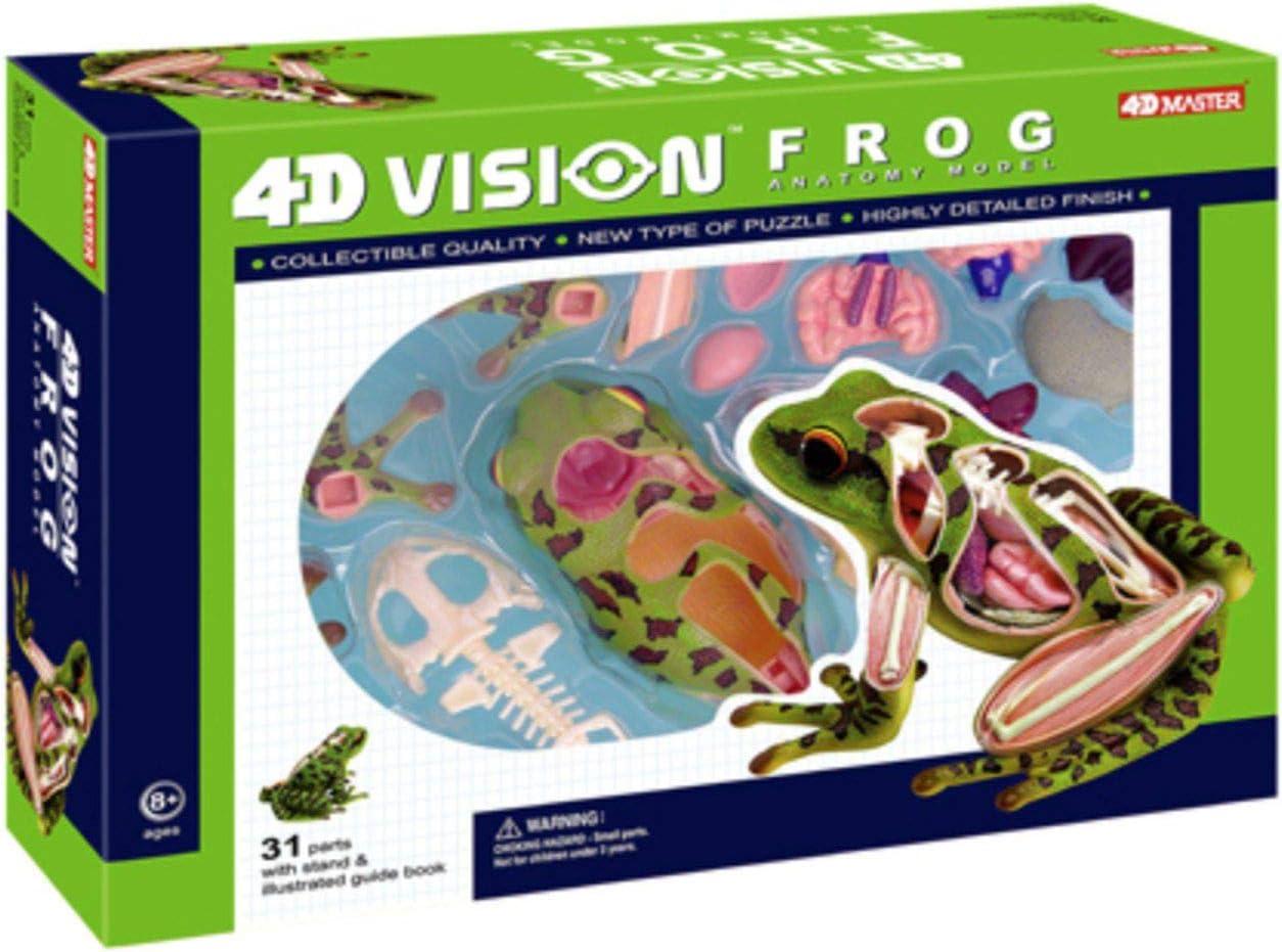 4D Vision Frog Highly Detailed Science Model Kit