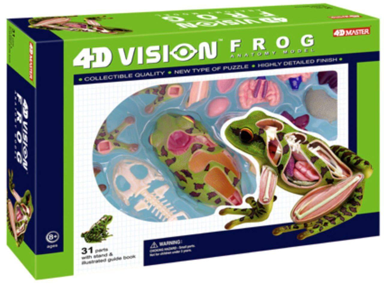 4D Vision Frog Highly Detailed Science Model Kit