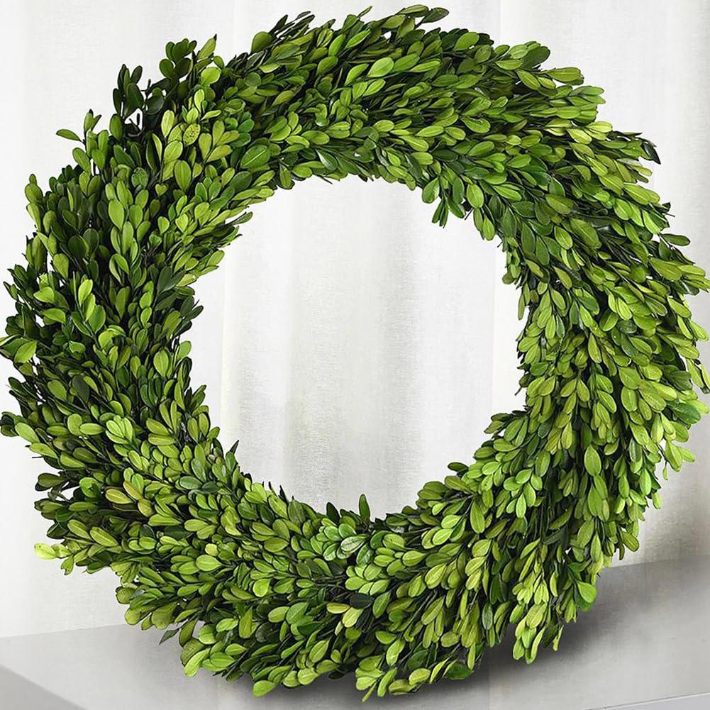 Alby Preserved Boxwood Real Greenery Wreath