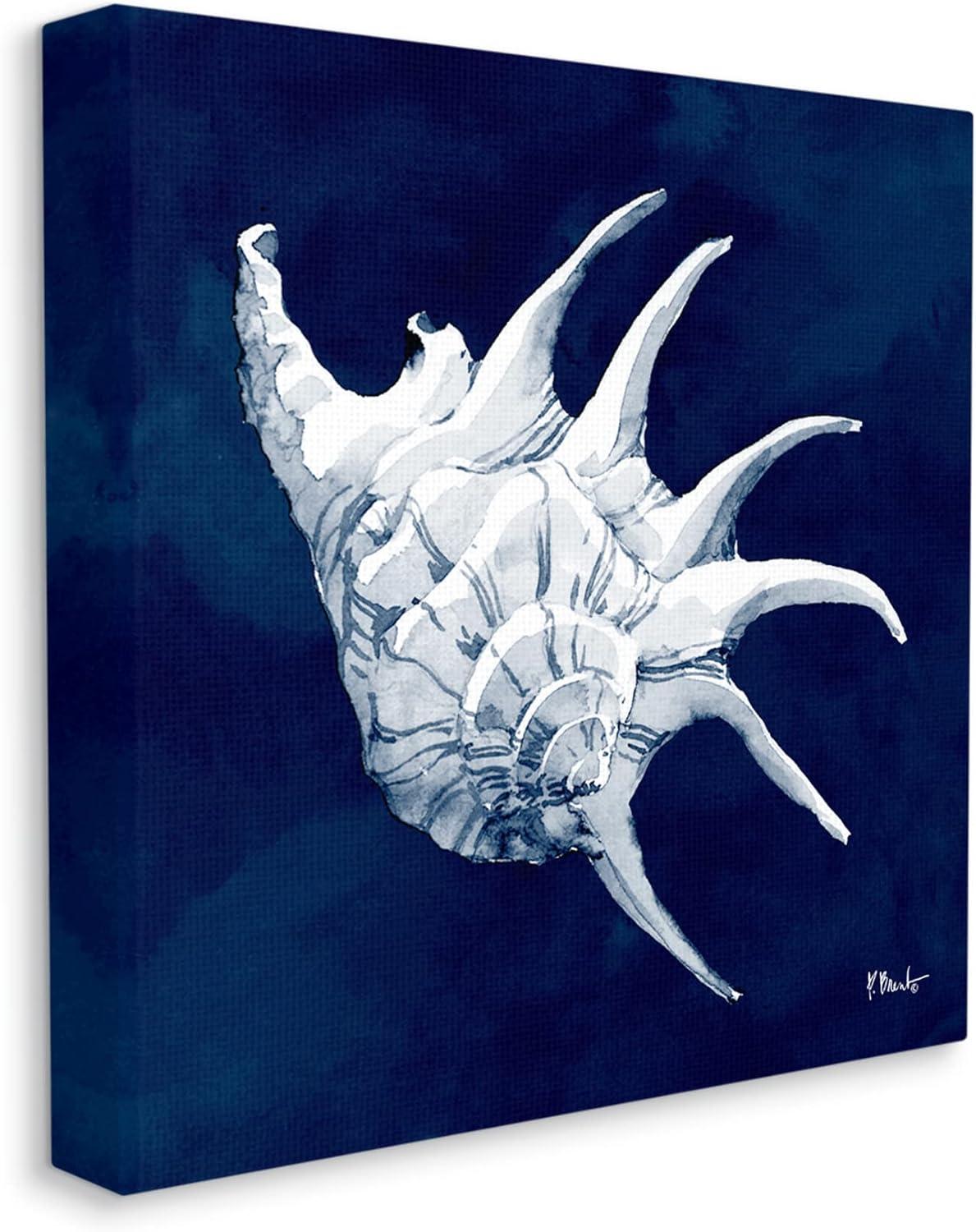 Stupell Industries Cyanotype Shells Traditional Conch Graphic Art Gallery Wrapped Canvas Print Wall Art, Design by Paul Brent