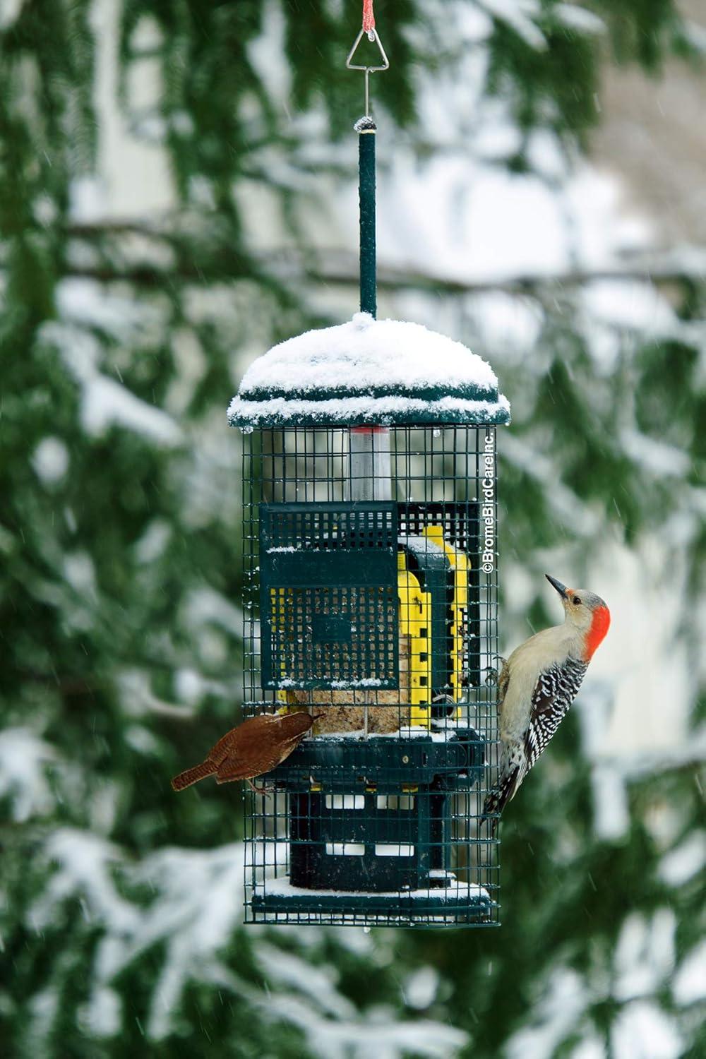 Brome Bird Care Squirrel Buster Truly Squirrel-Proof Suet Feeder (Green)