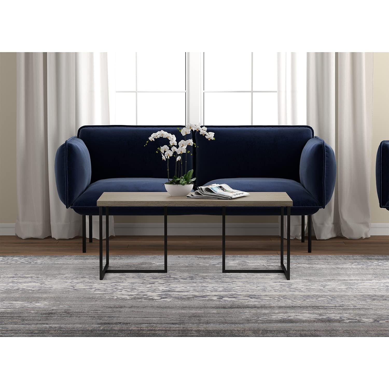 Willa Arlo™ Interiors Metz Coffee Table