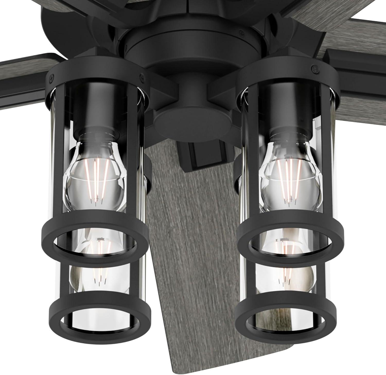 Hunter Fan Hunter 52 inch Astwood II Ceiling Fan with Lights and Remote