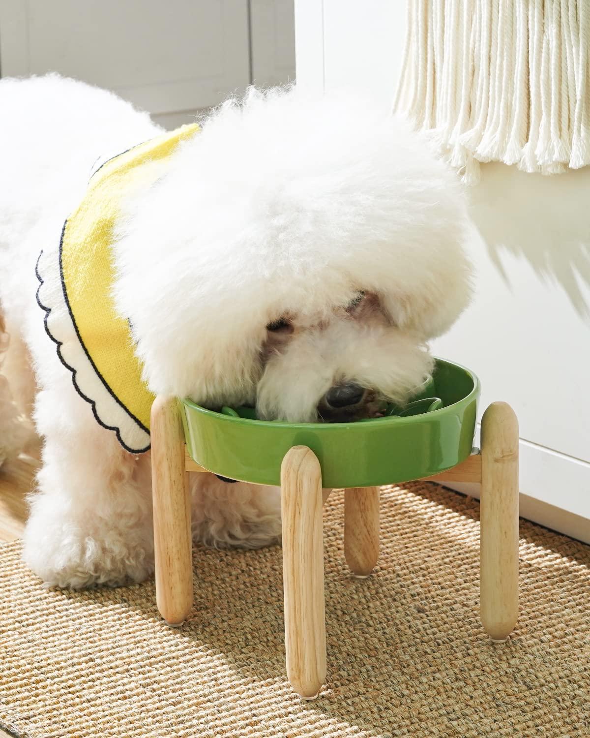 Ceramic Slow Feed Dog Bowls