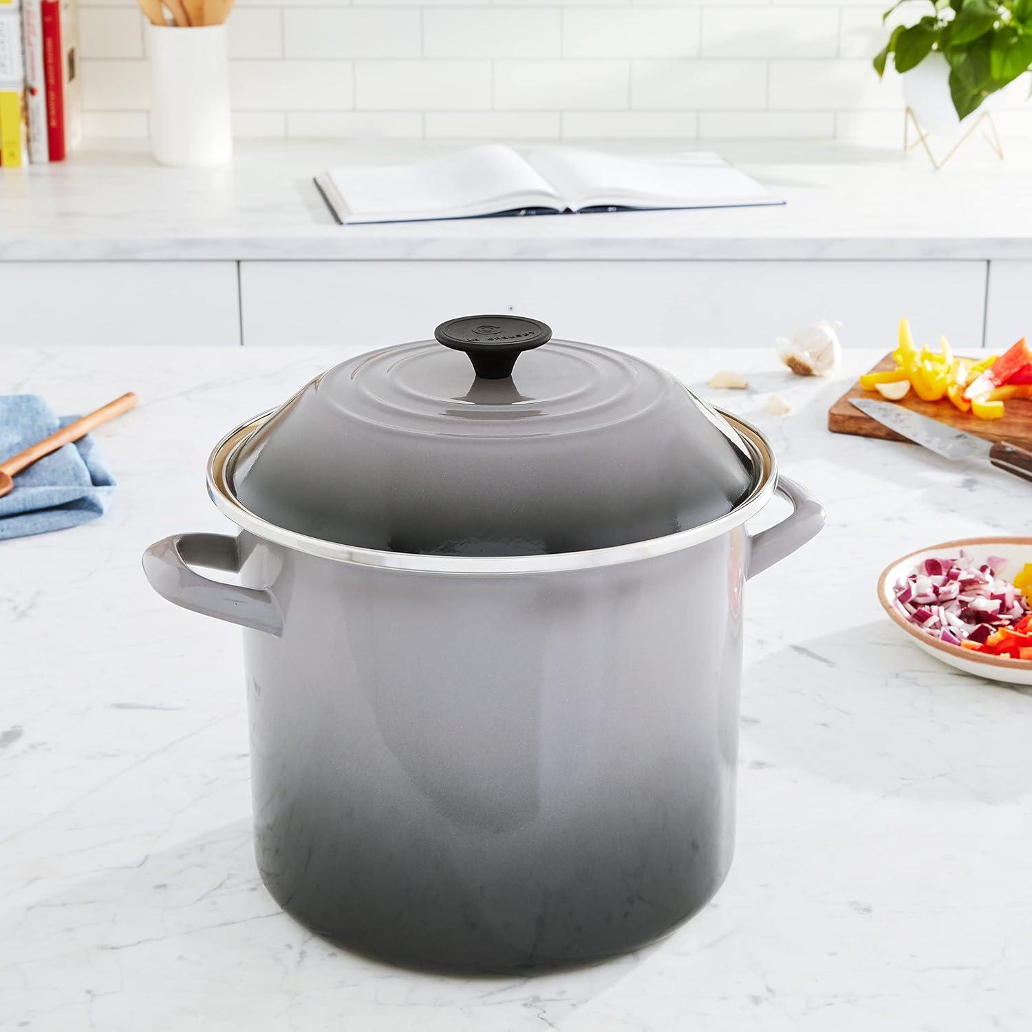 Le Creuset Enamel on Steel Stockpot with Lid