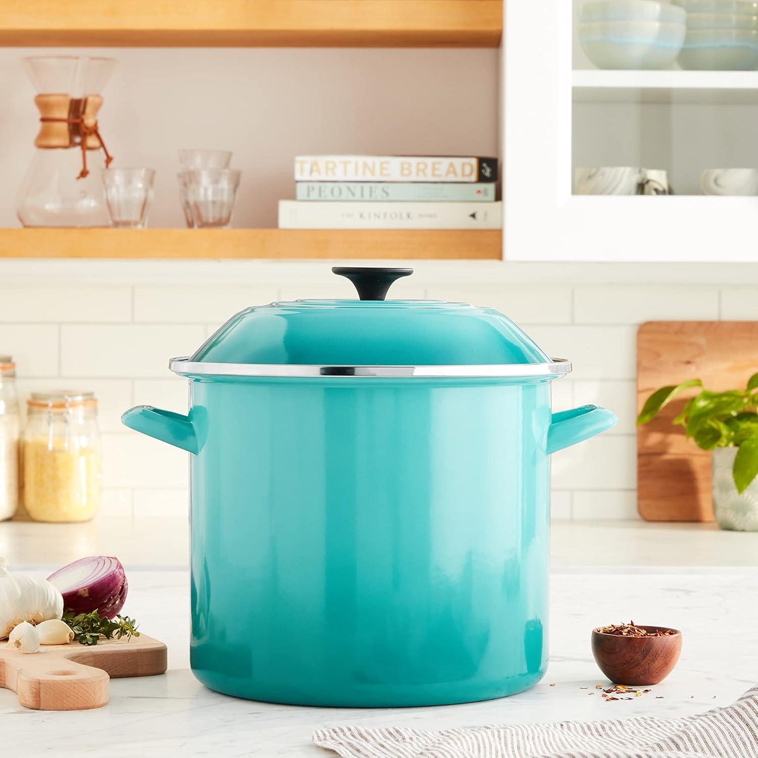 Le Creuset Enamel on Steel Stockpot with Lid