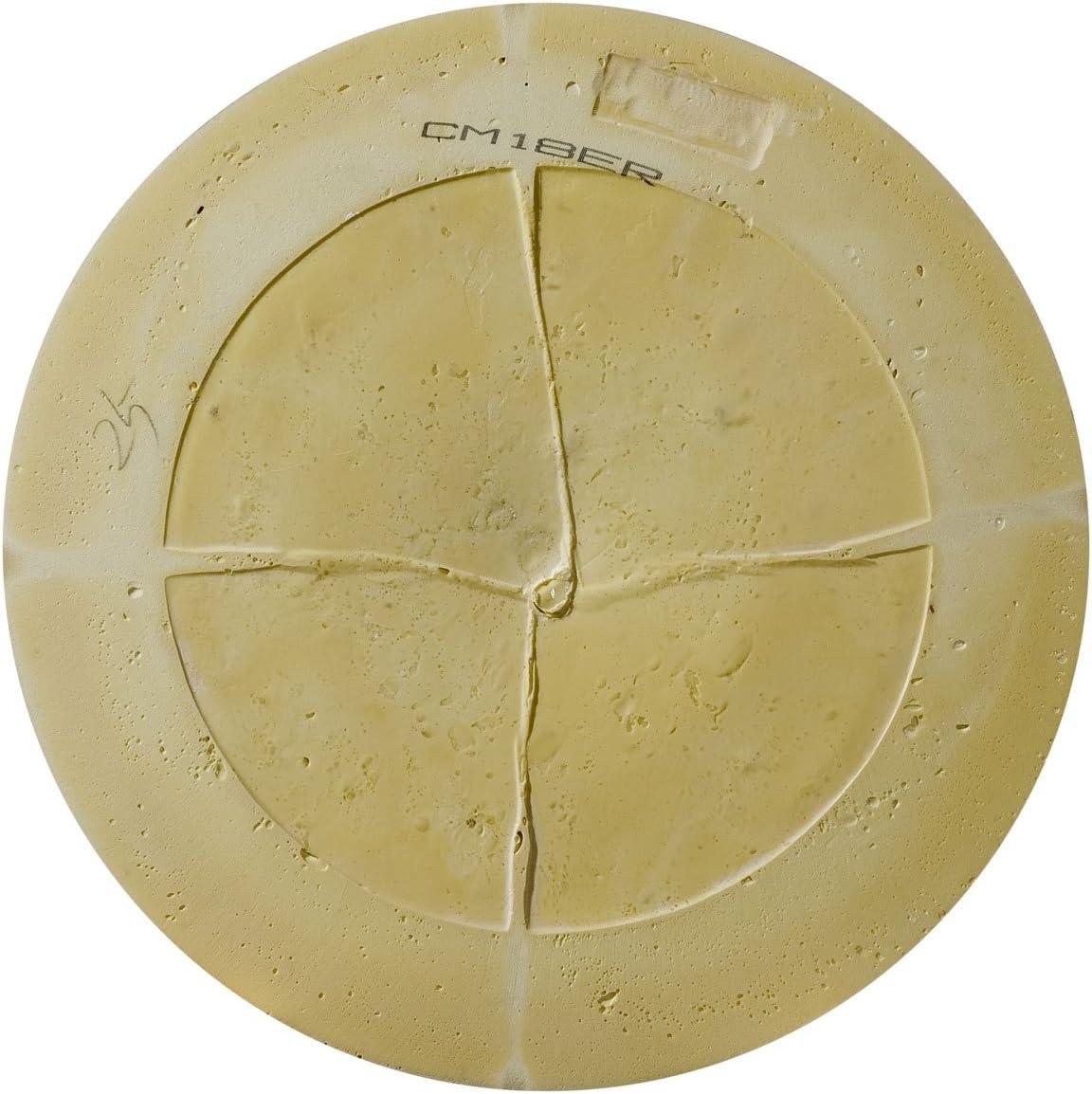 Ekena Millwork Edinburgh 18'' H x 18'' W D Urethane Ceiling Medallion