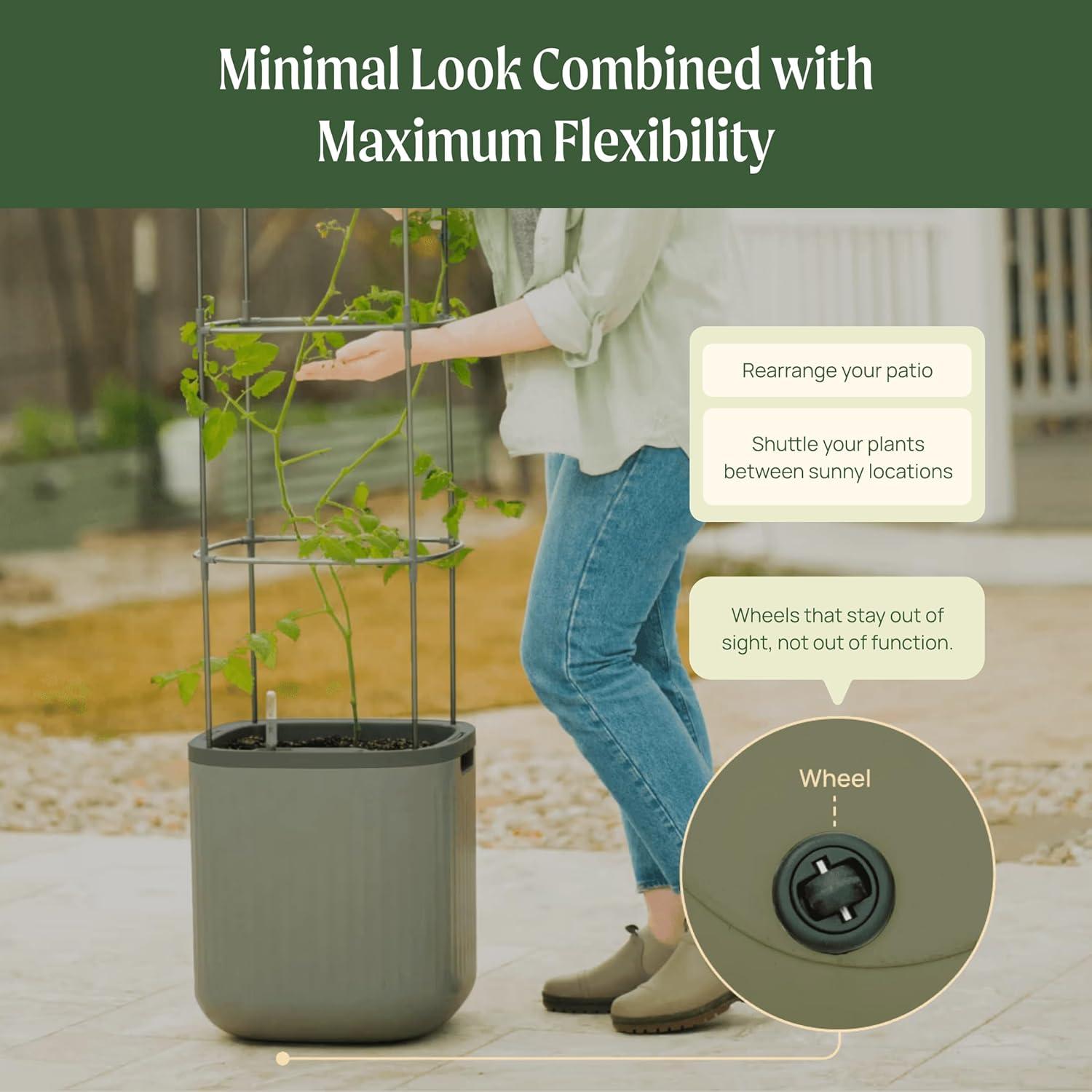 Vego Garden Mini Tomato Plastic Outdoor Pot Planter with Trellis