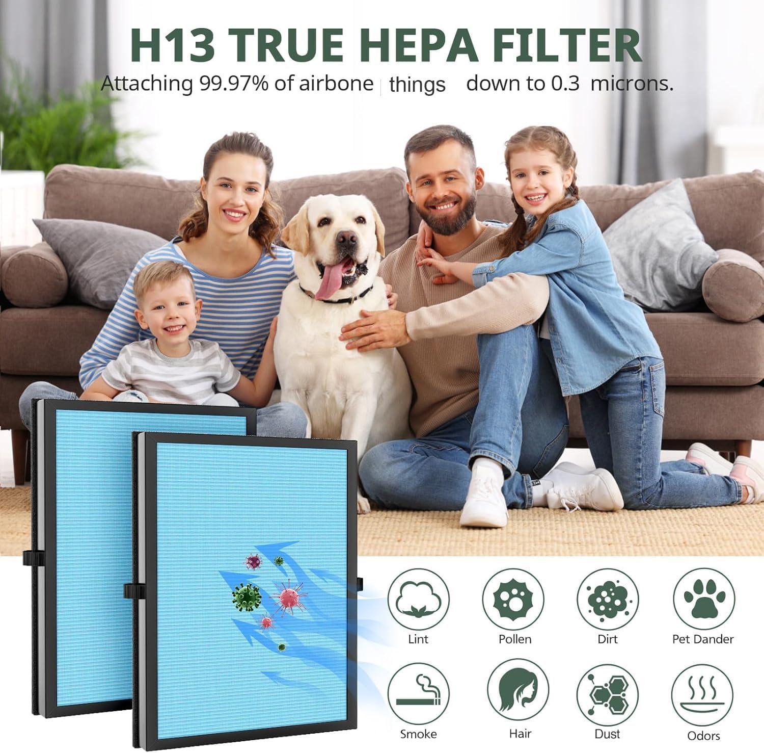 MK04 Replacement Filter, 2 Pack Compatible with MK04 MG04JH Air Purifier, Air Filter H13 True HEPA Filter for Dust, Pet Dander, Smoke for Bedroom, Home, Office (Green)