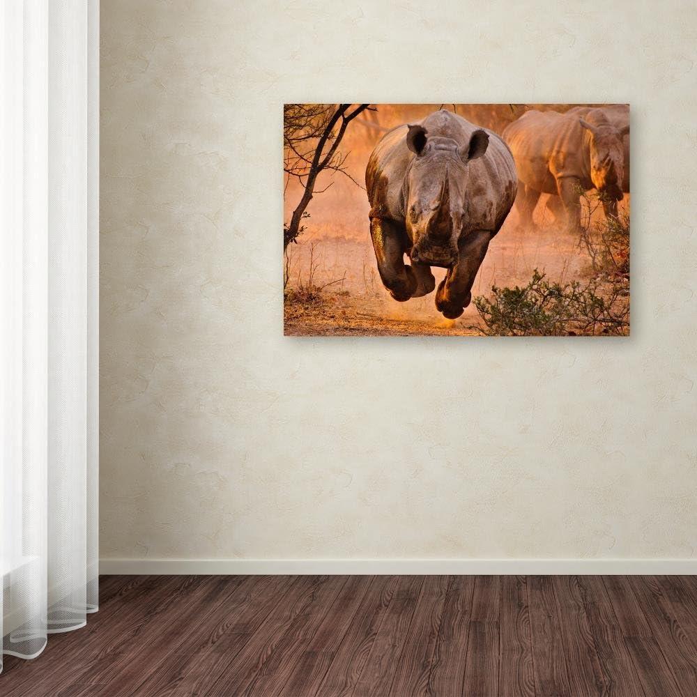 Rhino Learning to Fly Framed Canvas Art in Sandy Landscape