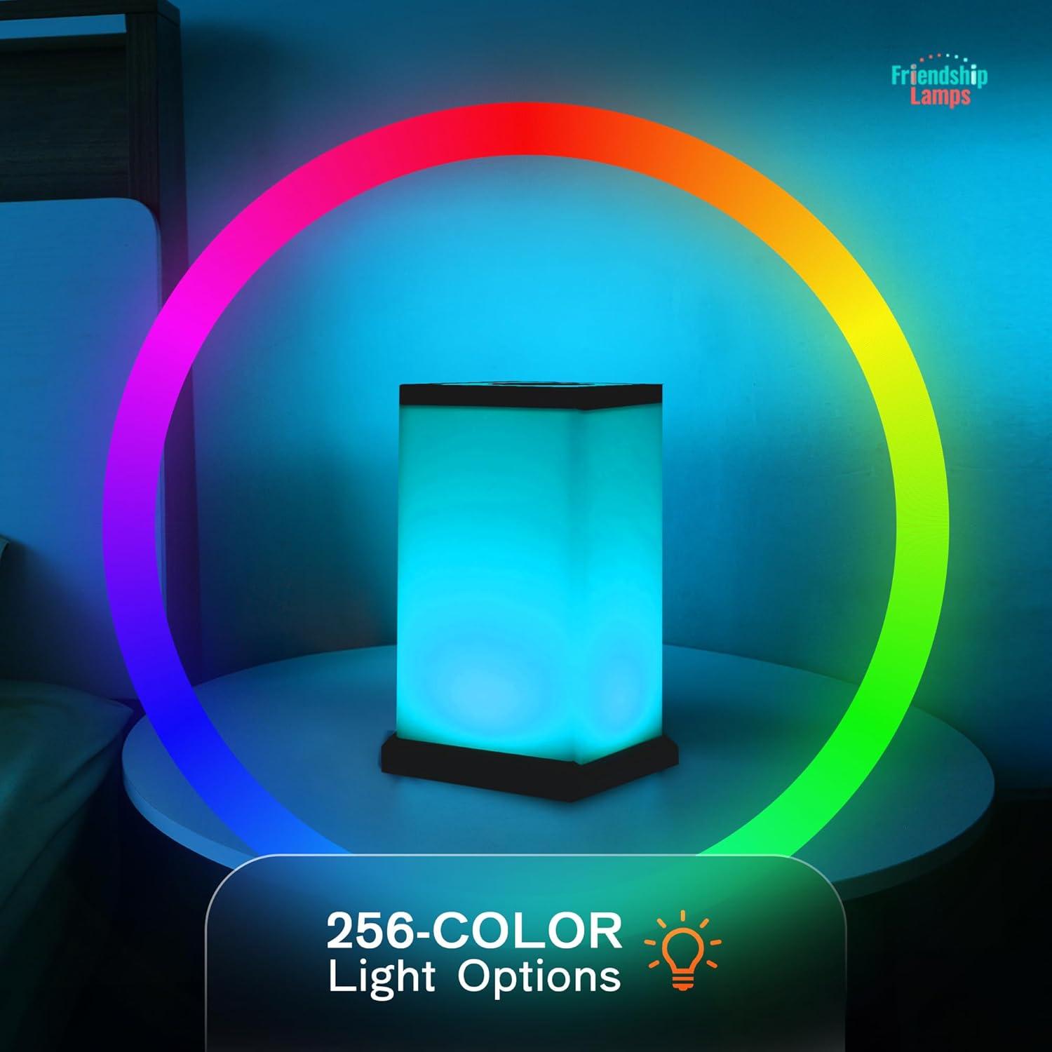 Modern Black Acrylic Touch Friendship Lamp Set