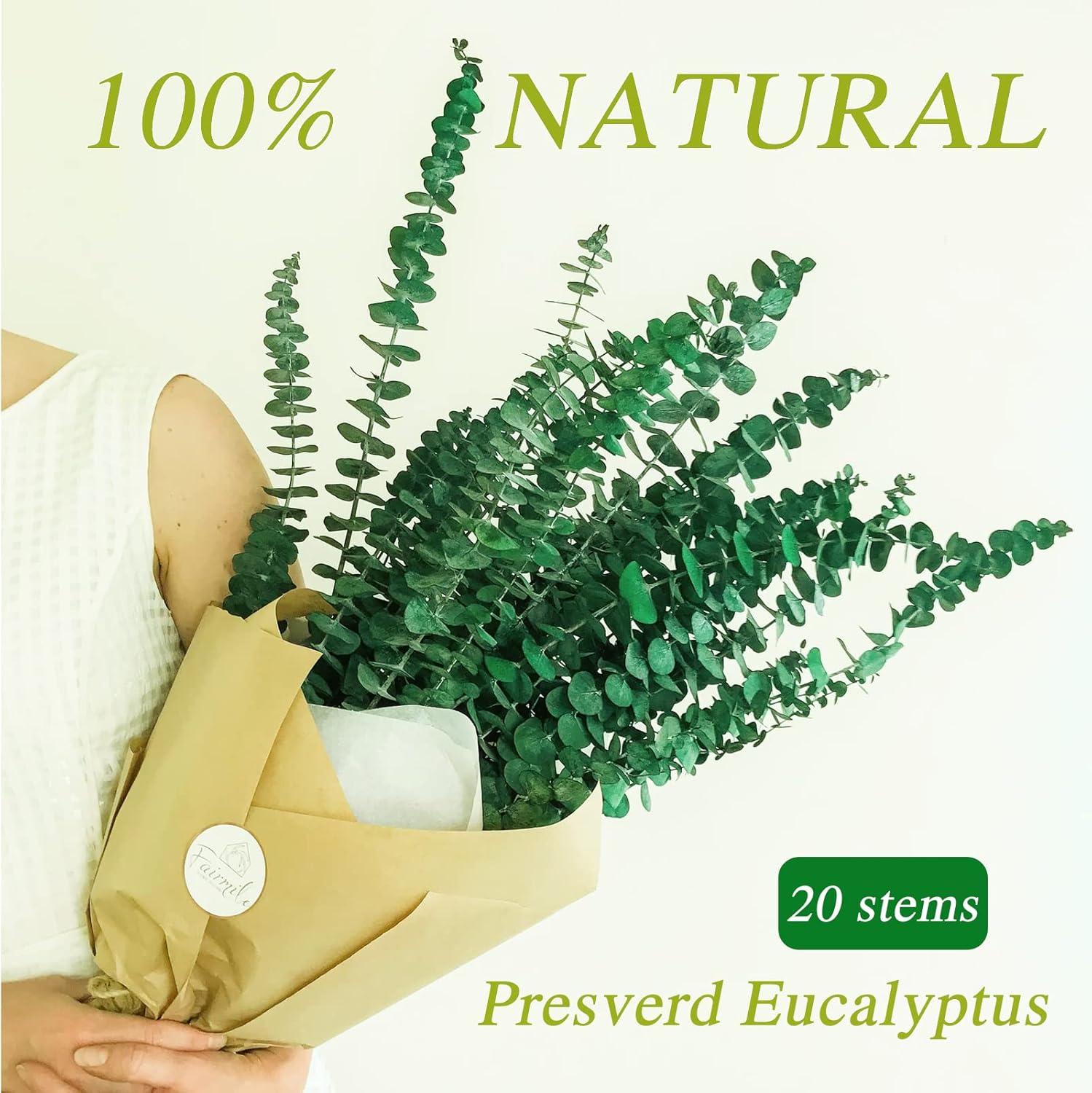 20Pcs Dried Eucalyptus Stems, Trianu 17" Natural Fresh Eucalyptus Branches for Shower, Real Plant for Vase Filler, Dried Flowers Arrangement, Floral Home Decor, Green