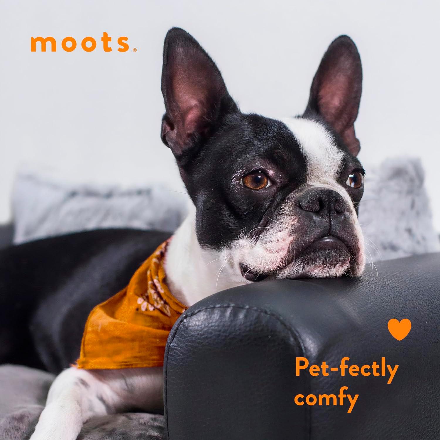 Tucker Murphy Pet™ Kayenta Premium Dog Sofa