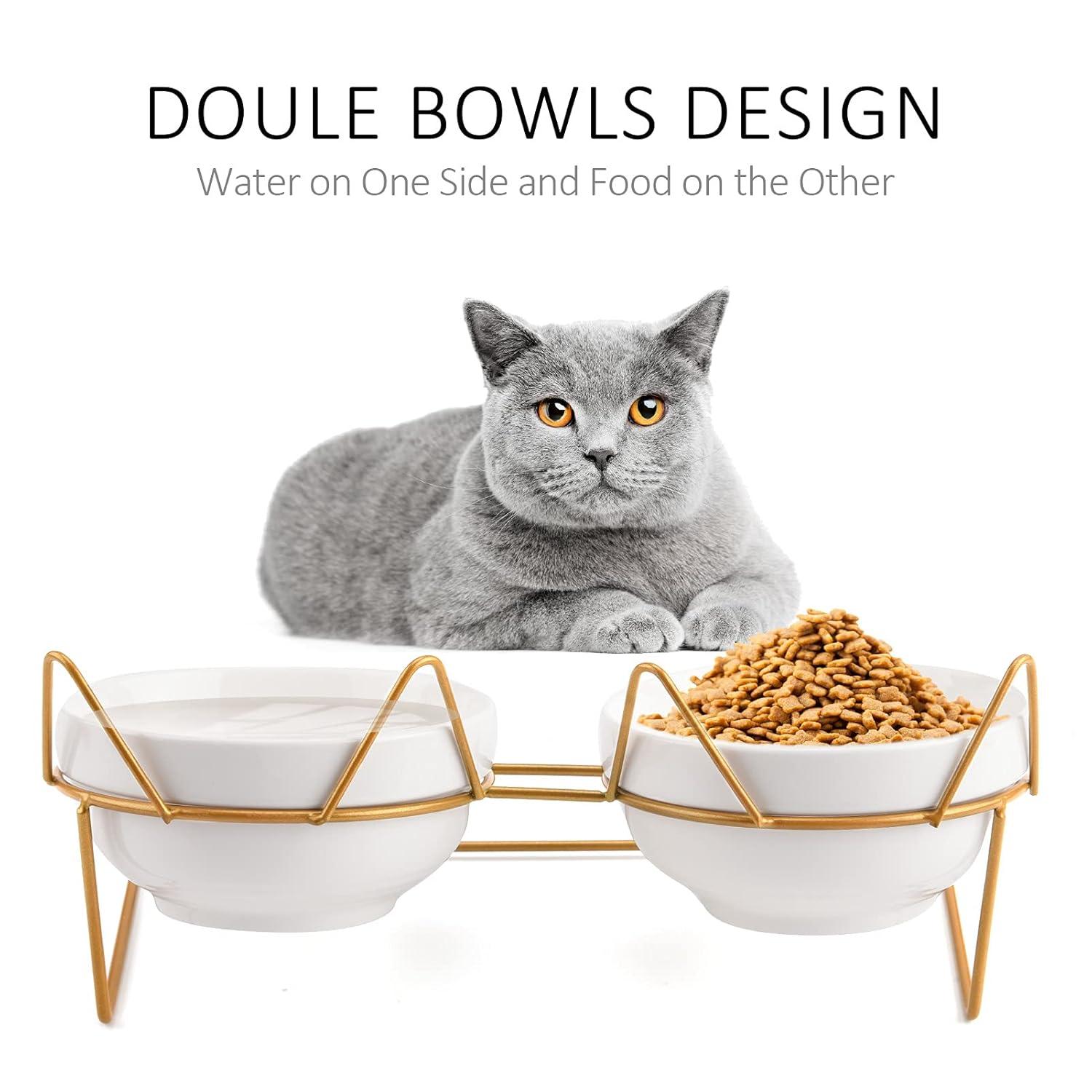 Cat Bowls, Double Ceramic Pet Bowls with 15°Tilted Raised Stand for Food and Water, Anti Vomiting Cat Dish Feeder, Perfect for Puppy Cats and Small Dogs(Double Bowls1)