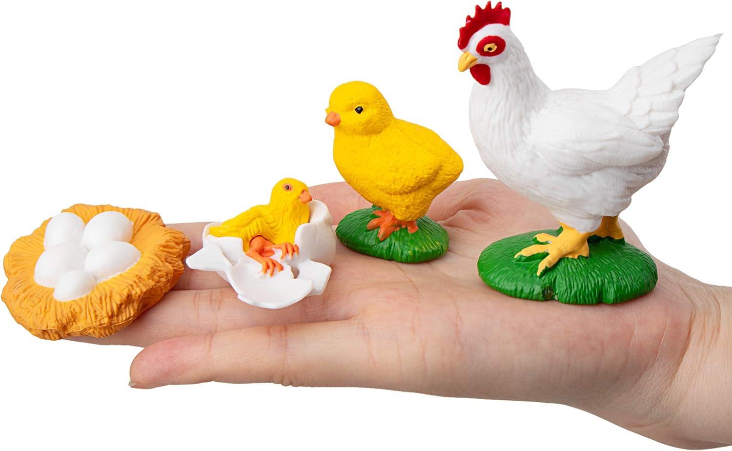 TOYMANY 16PCS Farm Animals Figurines Life Cycle of Chicken Hen Duck Goose White Swan, Plastic Safariology Growth Cycle Eggs Figures Toy Kit School Project Cake Topper for Kids Toddlers