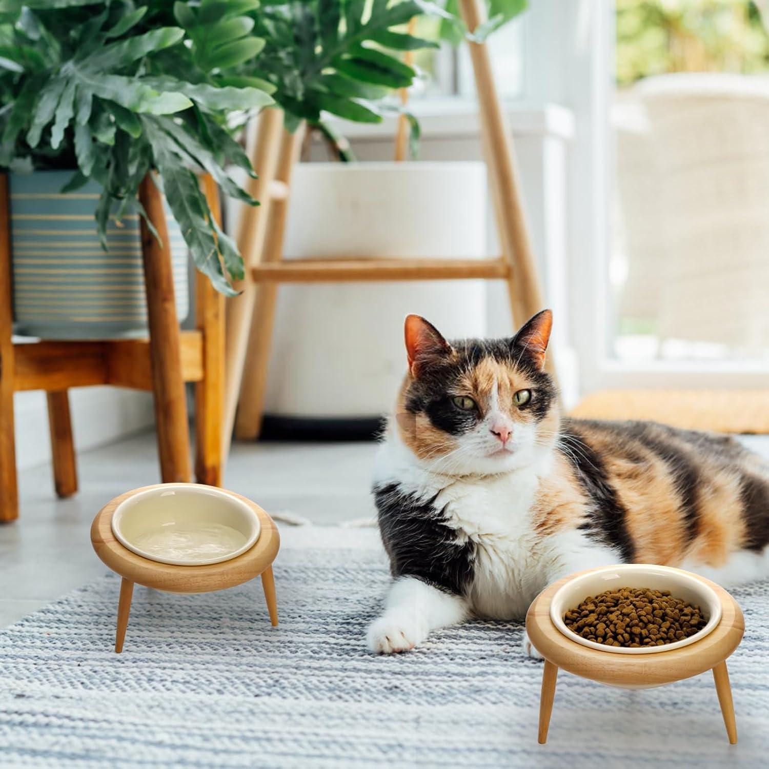 DEAYOU Ceramic Cat Bowl Adjustable, Tilted Elevated Raised Dish, No Spill Food Water Feeder, Slanted Dog Bowl with Wood Stand for Kitty, Supplies, Stress Free, 600 ML/20 OZ, Cream White C49