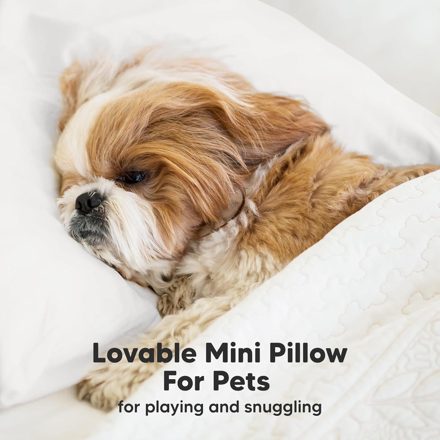 KeaBabies Mini Toddler Pillow with Pillowcase, 9x13 Small Pillow for Toddler, Soft Kids Pillow for Sleeping, Travel, Age 2-4 (Soft White)