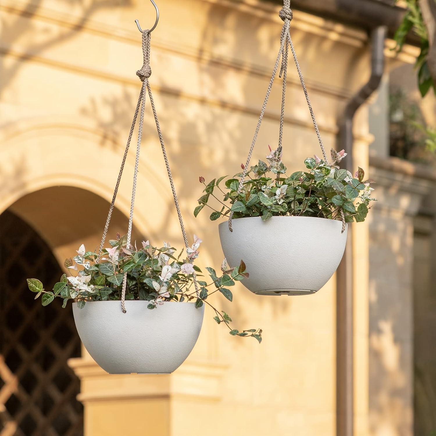 Boxdale Hanging Planter - Set of 2 (Set of 2)