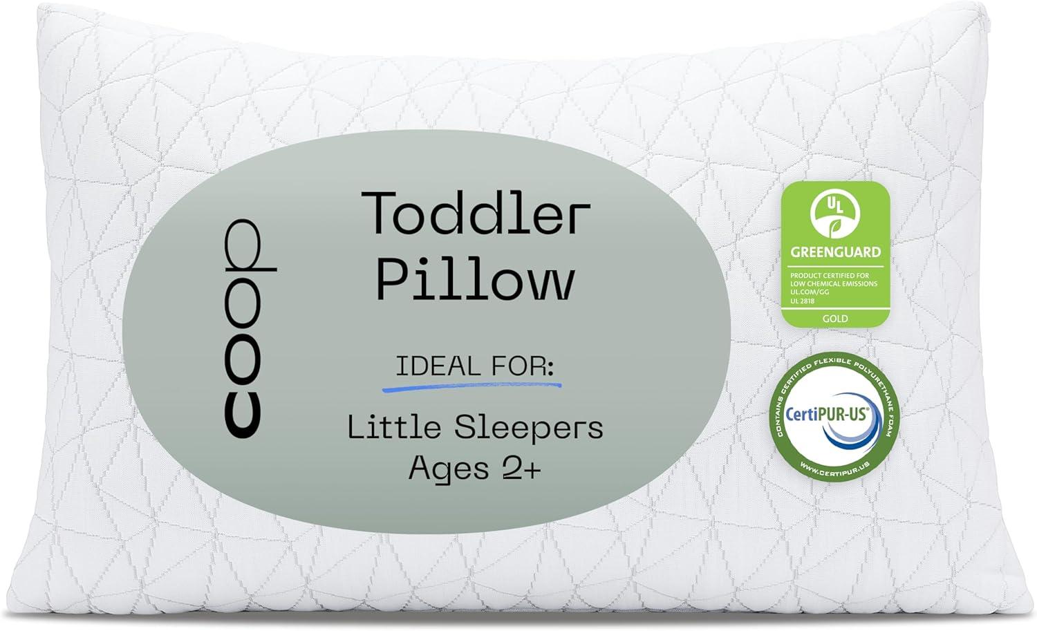 Coop Home Goods Memory Foam Toddler Pillow for Sleeping