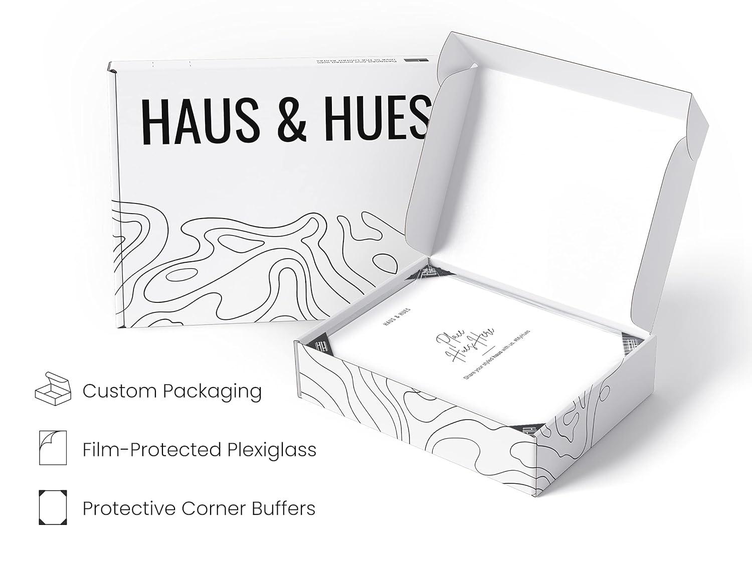 Haus and Hues Metal Picture Frame with Plexiglass Cover, Silver, 4x6