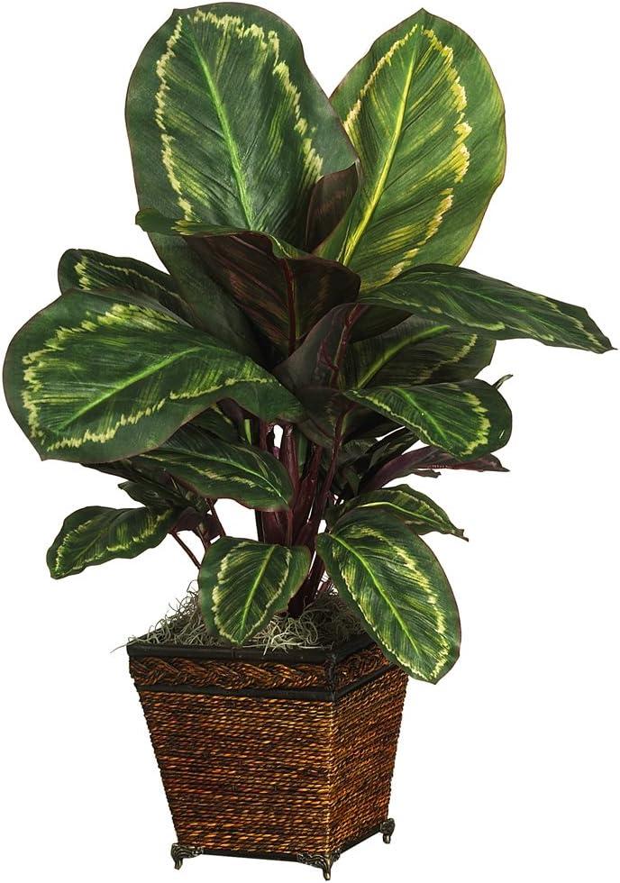 Nearly Natural 26-in Maranta w/Basket Silk Plant