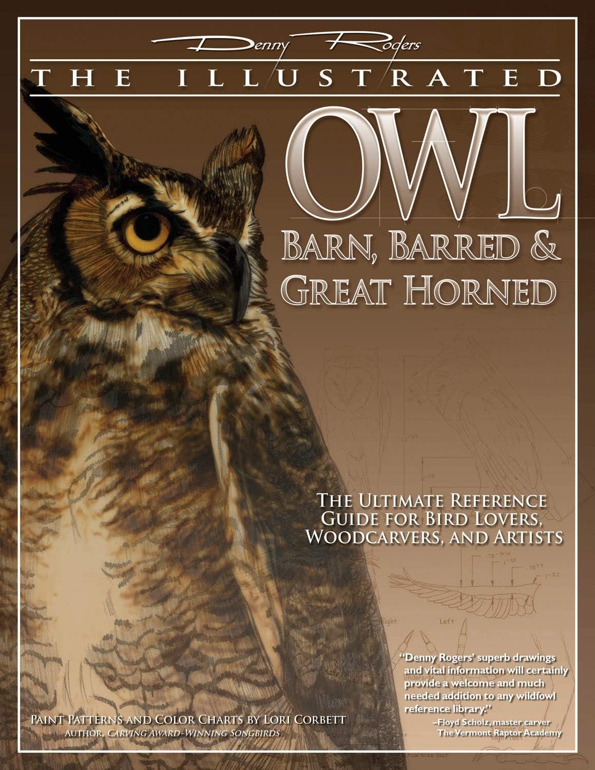 Illustrated Owl Reference Guide for Bird Lovers and Artists
