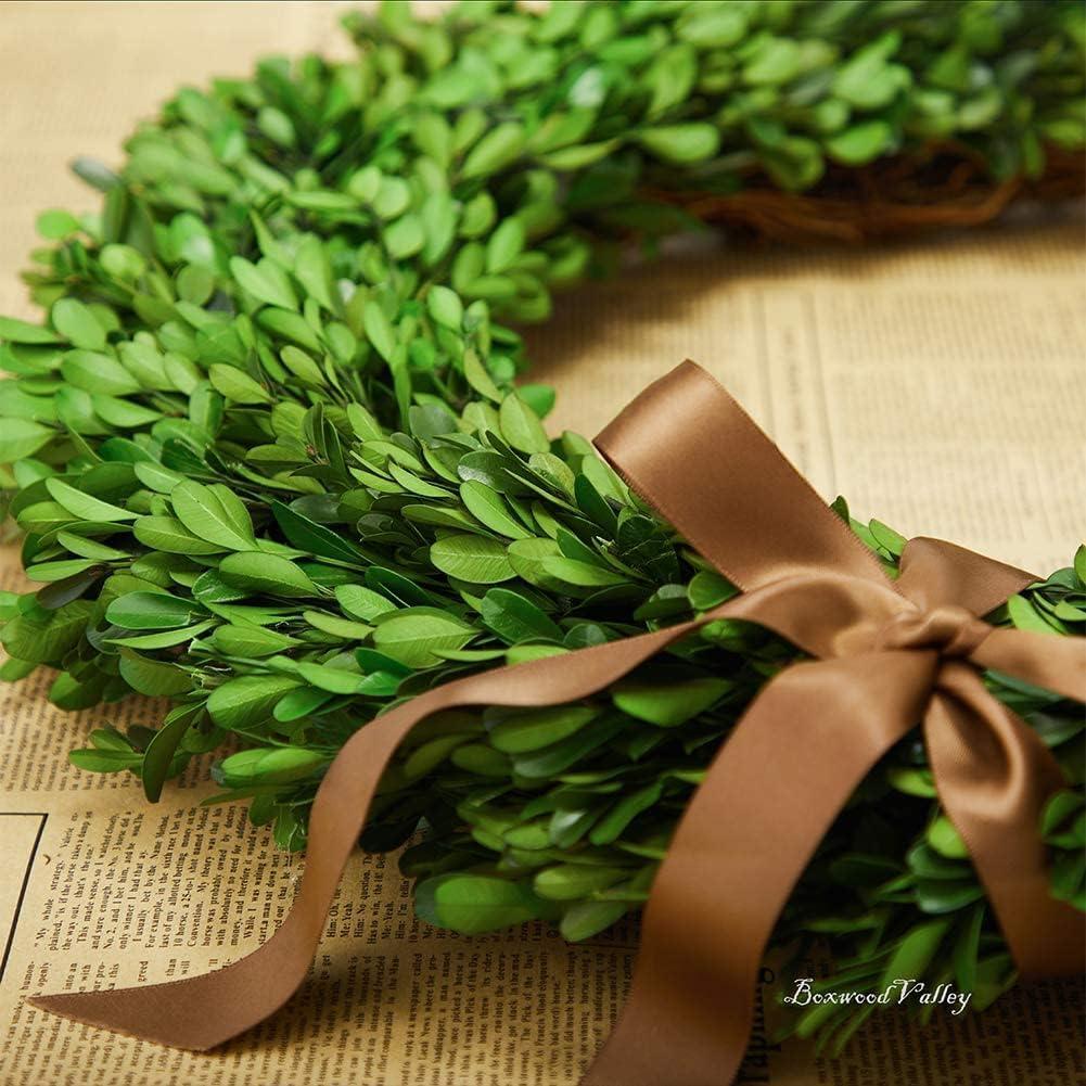 Alby Preserved Boxwood Real Greenery Wreath