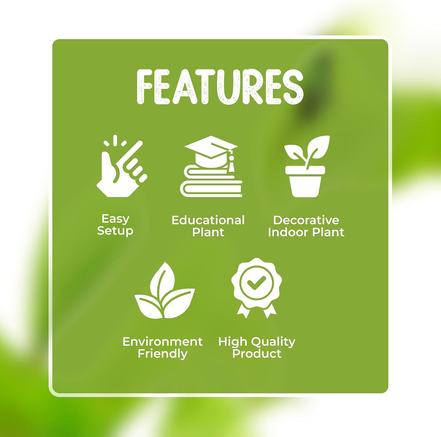 Venus Flytrap Live Plant Kit with Carnivorous Plant Food in 2.5" Glass Cube – Indoor Bug-Eating Plant with Tweezers & Sphagnum Moss – Educational Gift Fly Trap